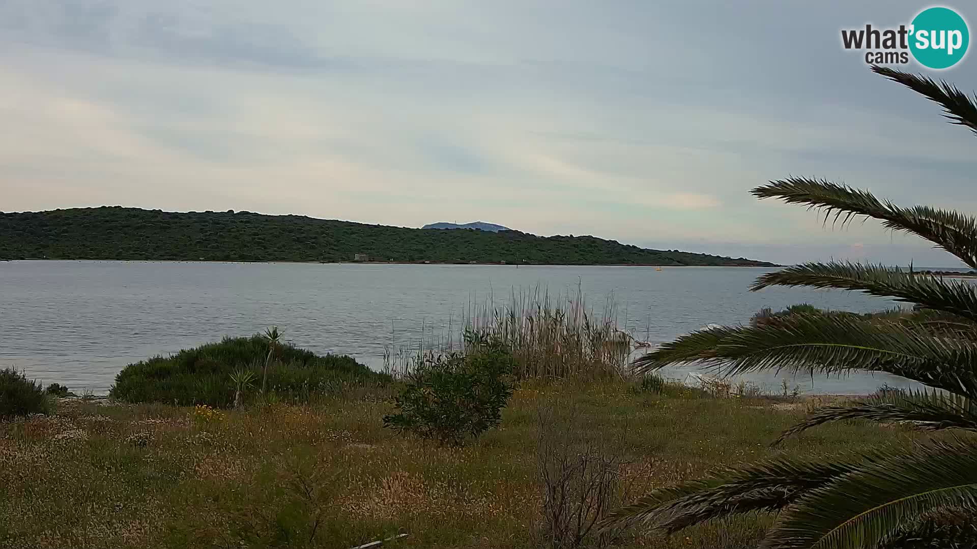 Webcam porto di Olbia – entrata nel porto di Olbia