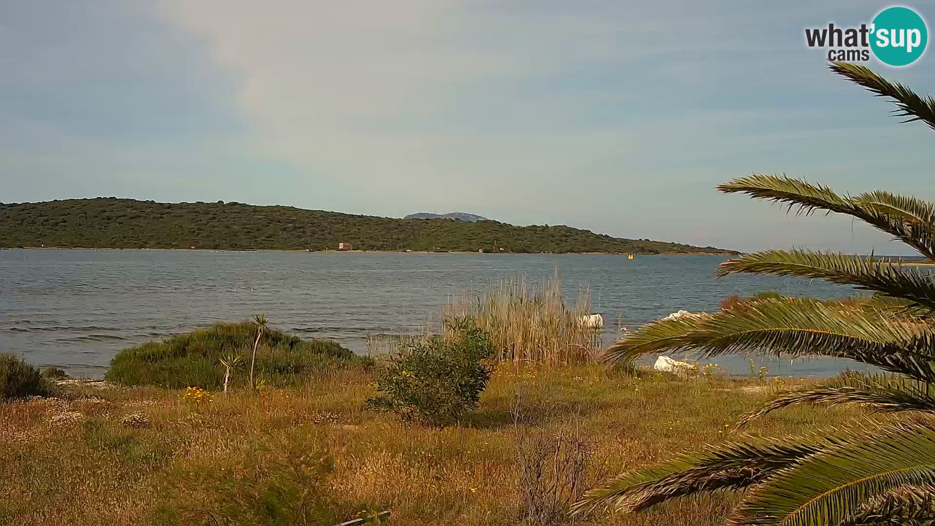 Webcam Hafen Olbia – Eingang zum Hafen von Olbia