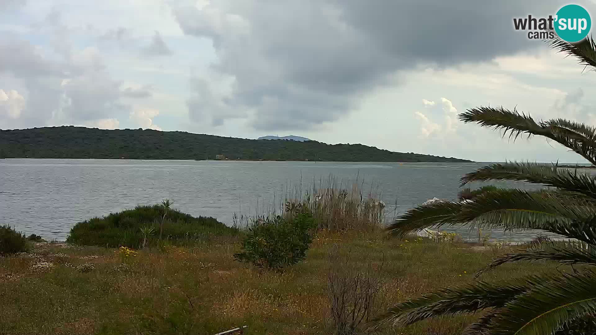 Web kamera Olbia luka – ulaz u luku Olbia
