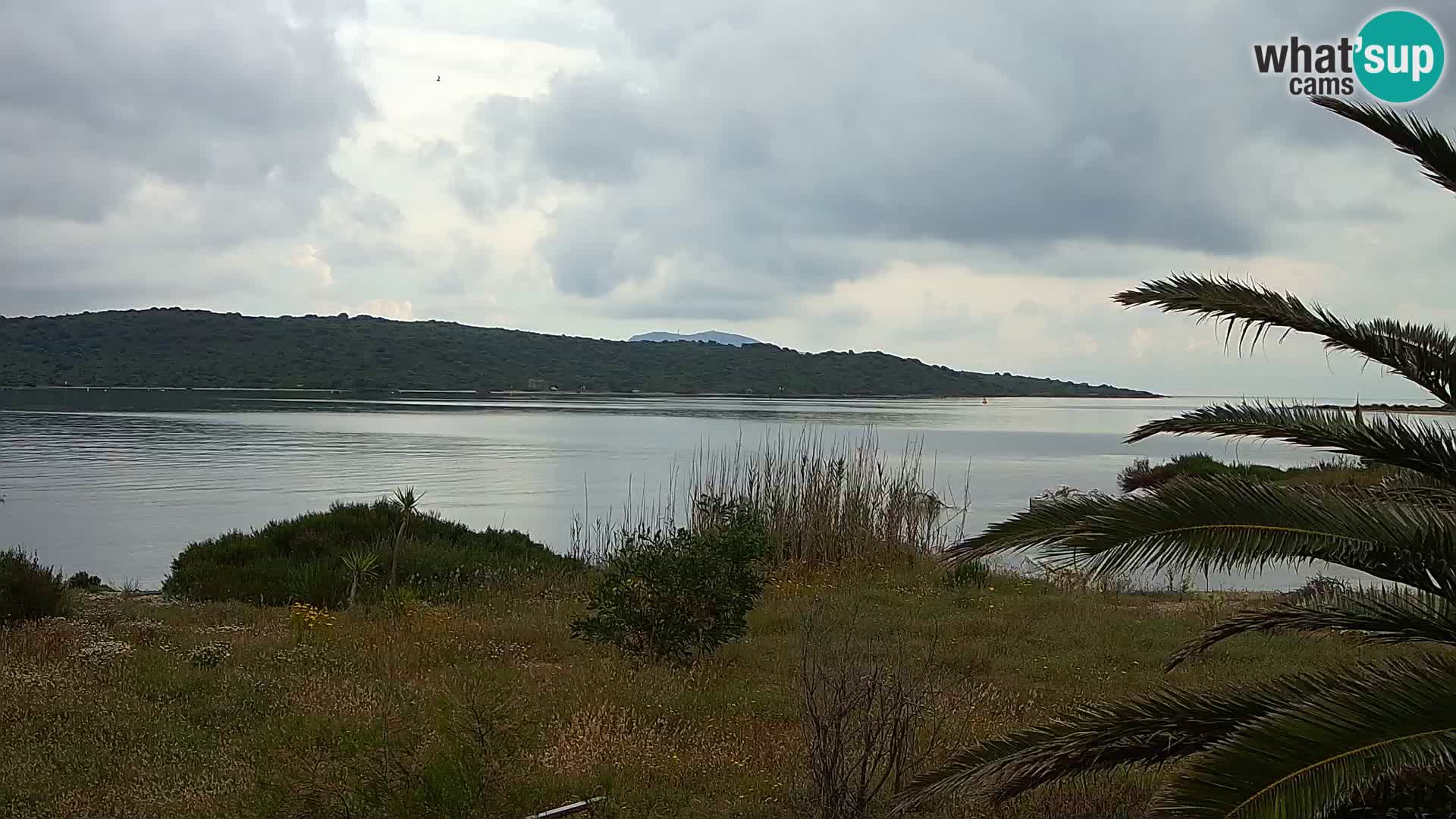 Webcam Olbia port – entrance to the port of Olbia