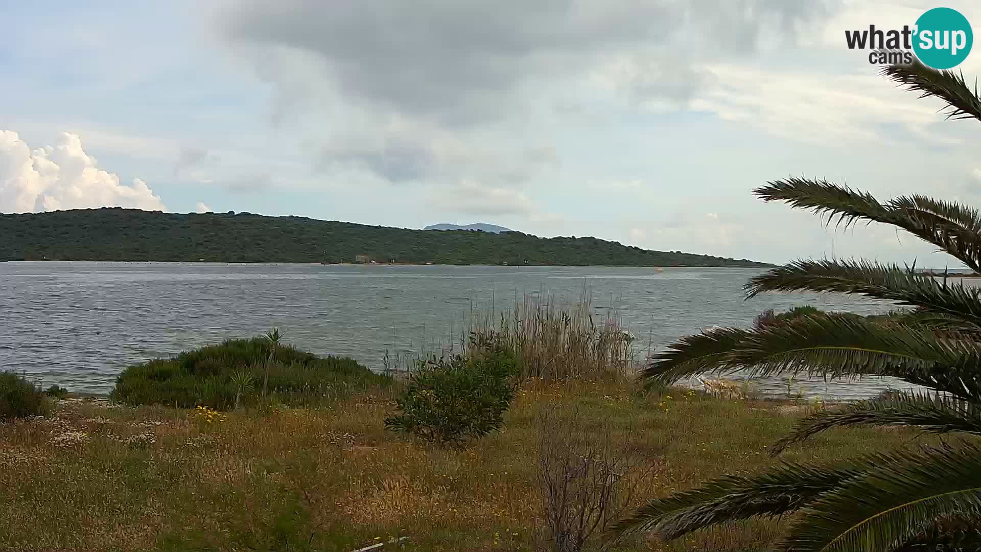 Webcam Olbia port – entrance to the port of Olbia