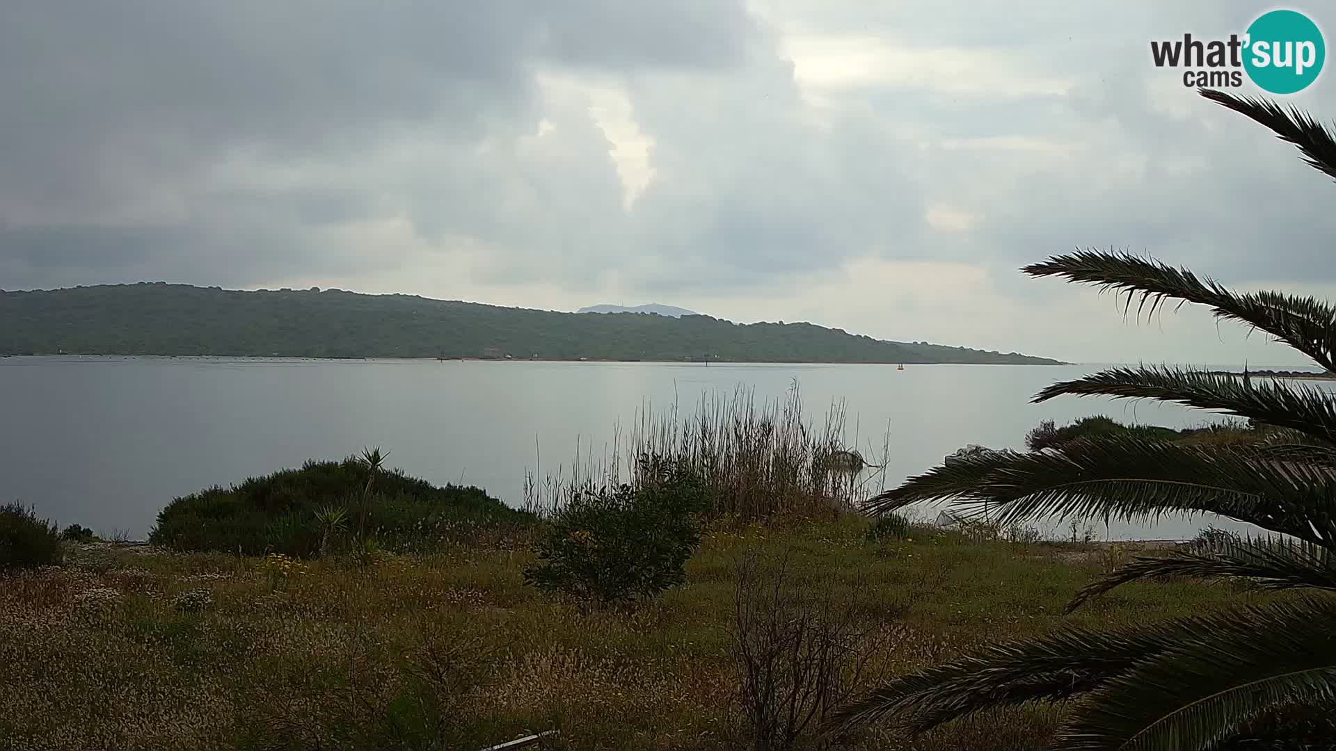 Webcam port d’Olbia – entrée du port d’Olbia
