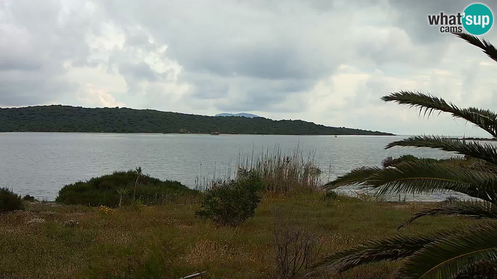 Spletna kamera pristanišče Olbia – vhod v pristanišče Olbia