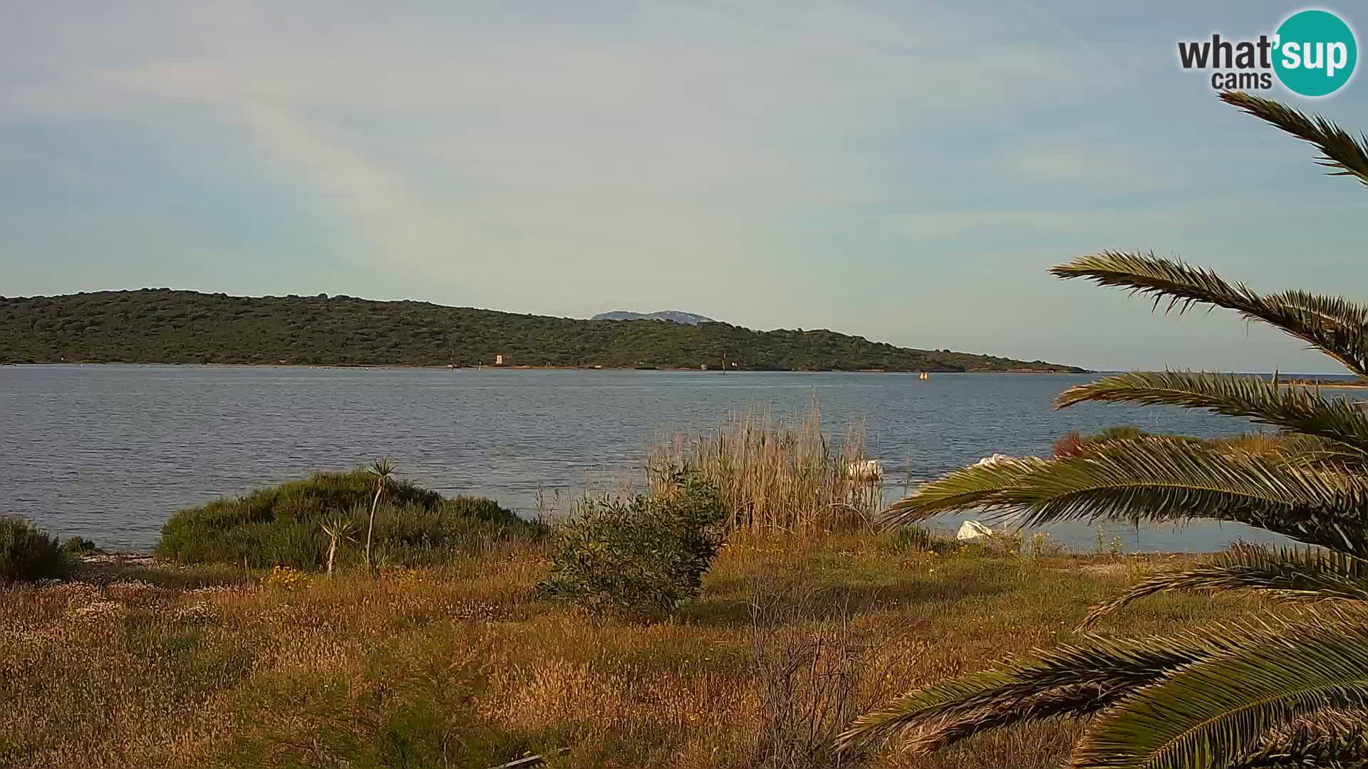 Webcam Olbia port – entrance to the port of Olbia