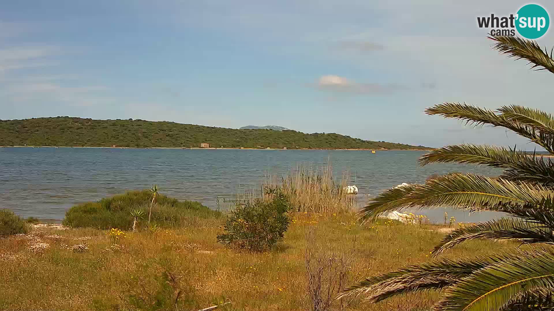 Camera web puerto de Olbia – entrada al puerto de Olbia