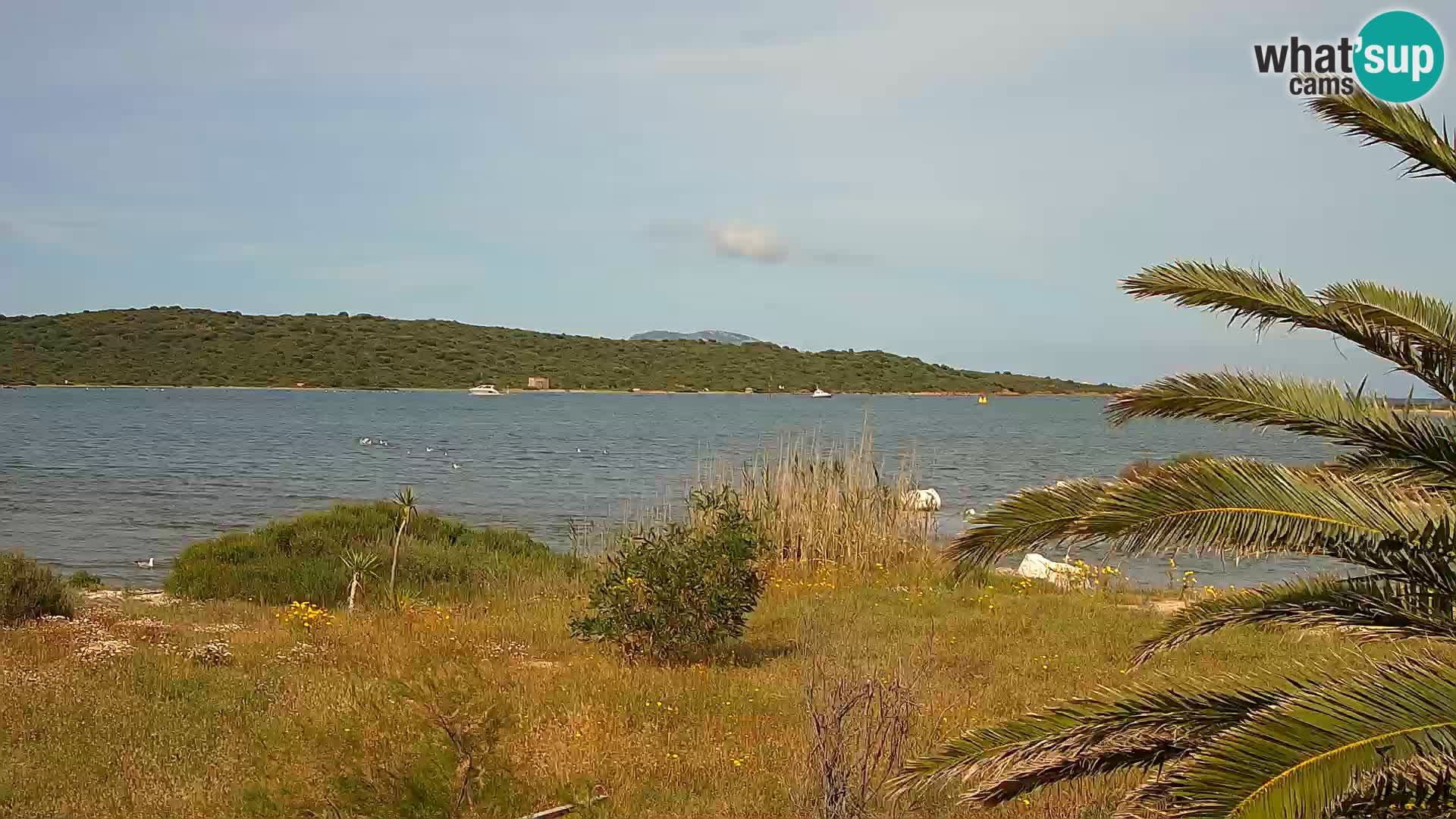Camera web puerto de Olbia – entrada al puerto de Olbia