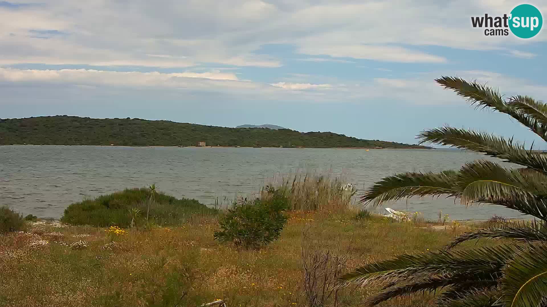 Webcam porto di Olbia – entrata nel porto di Olbia