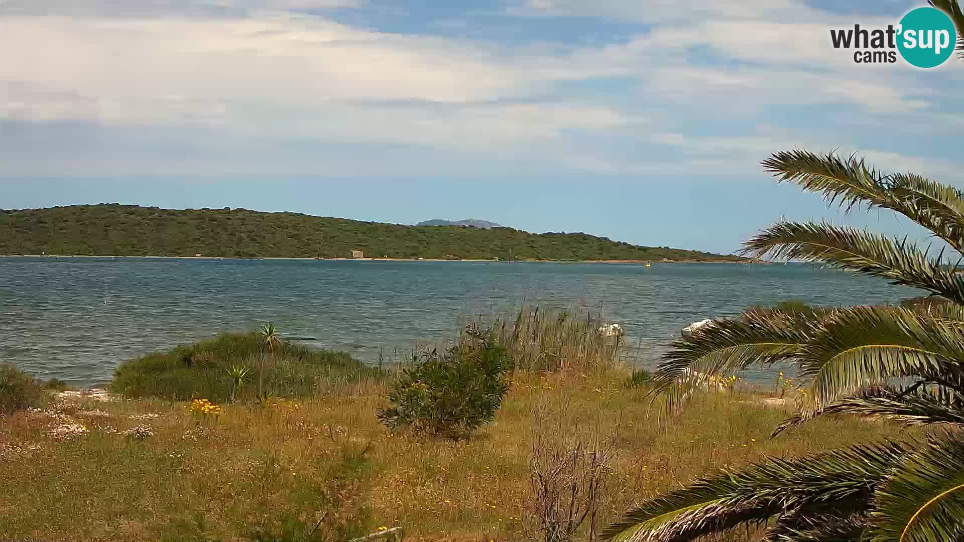 Spletna kamera pristanišče Olbia – vhod v pristanišče Olbia