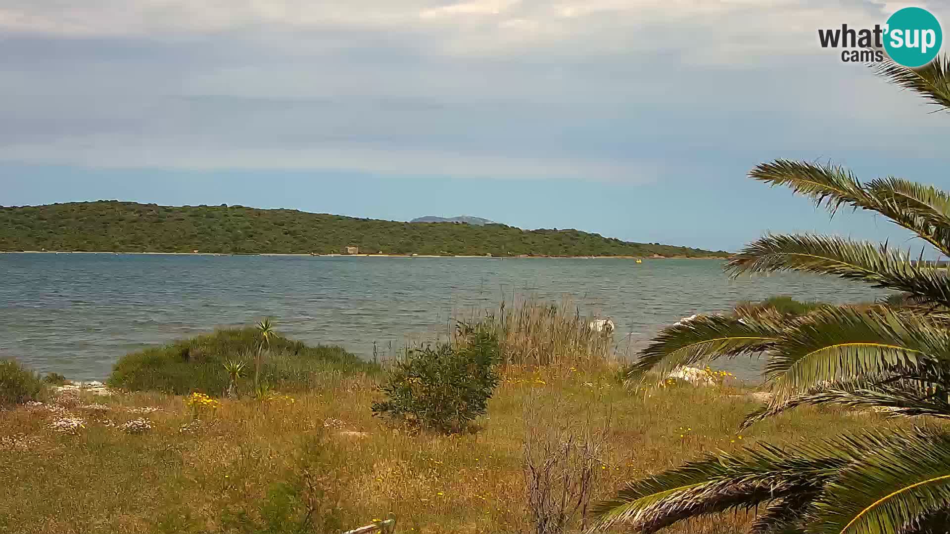 Webcam porto di Olbia – entrata nel porto di Olbia