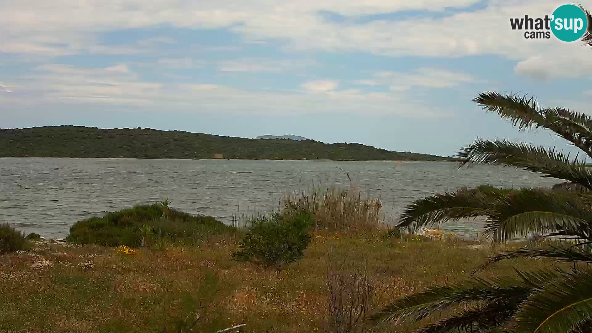 Webcam porto di Olbia – entrata nel porto di Olbia