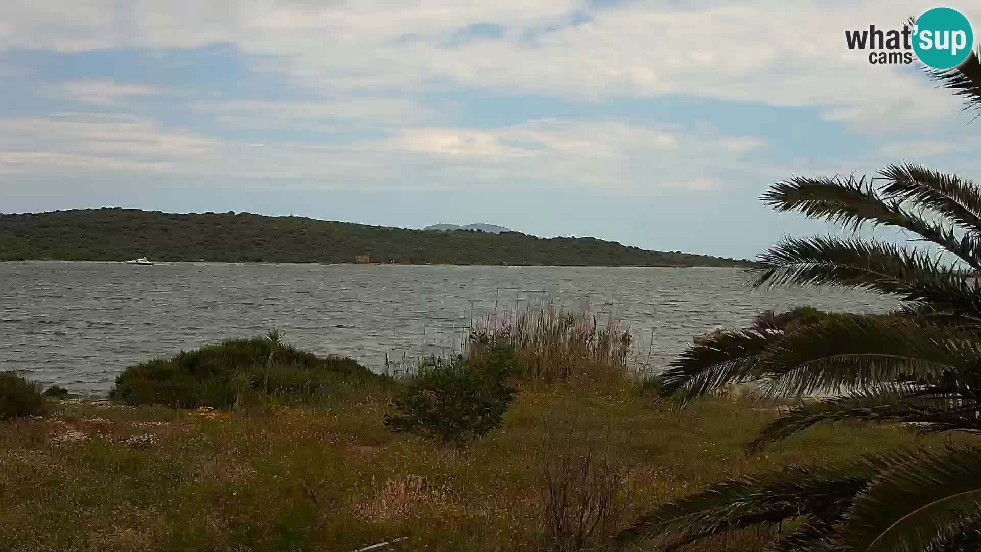 Webcam porto di Olbia – entrata nel porto di Olbia