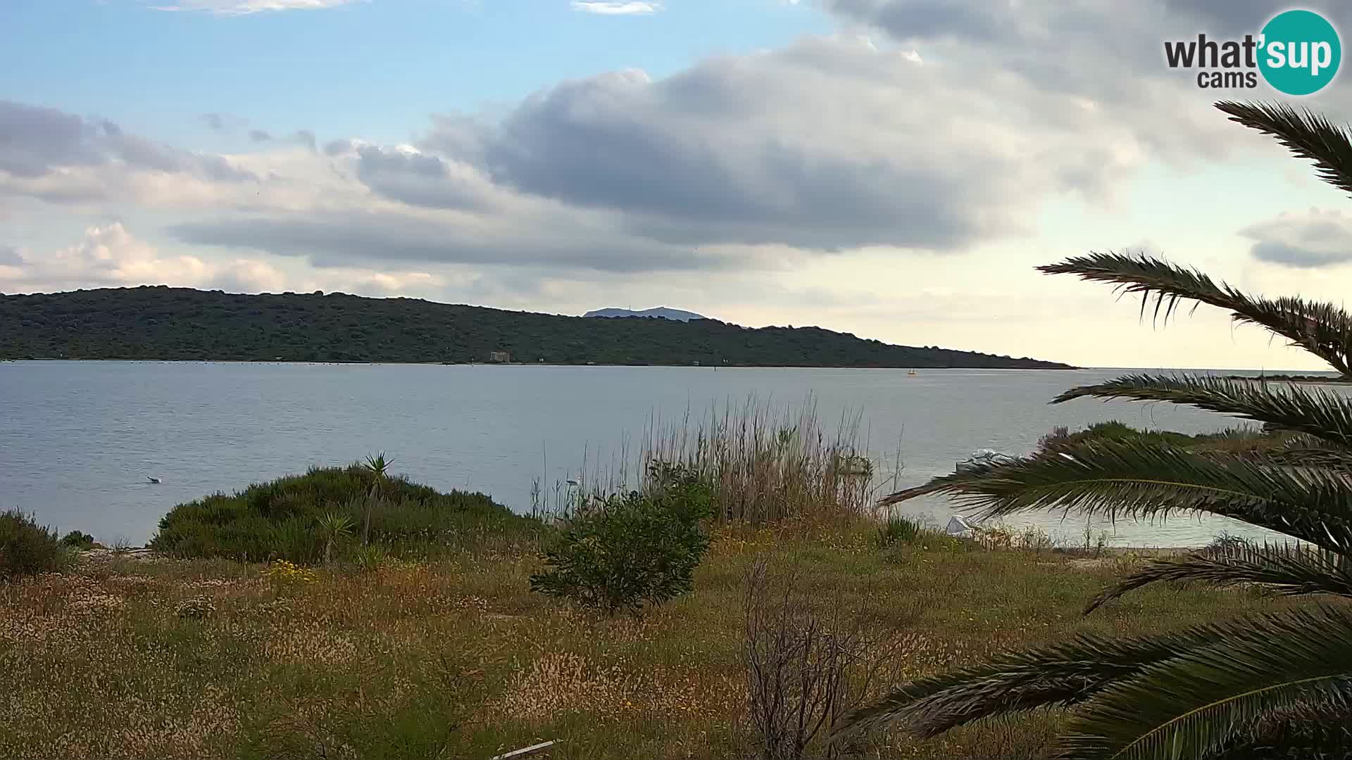 Web kamera Olbia luka – ulaz u luku Olbia