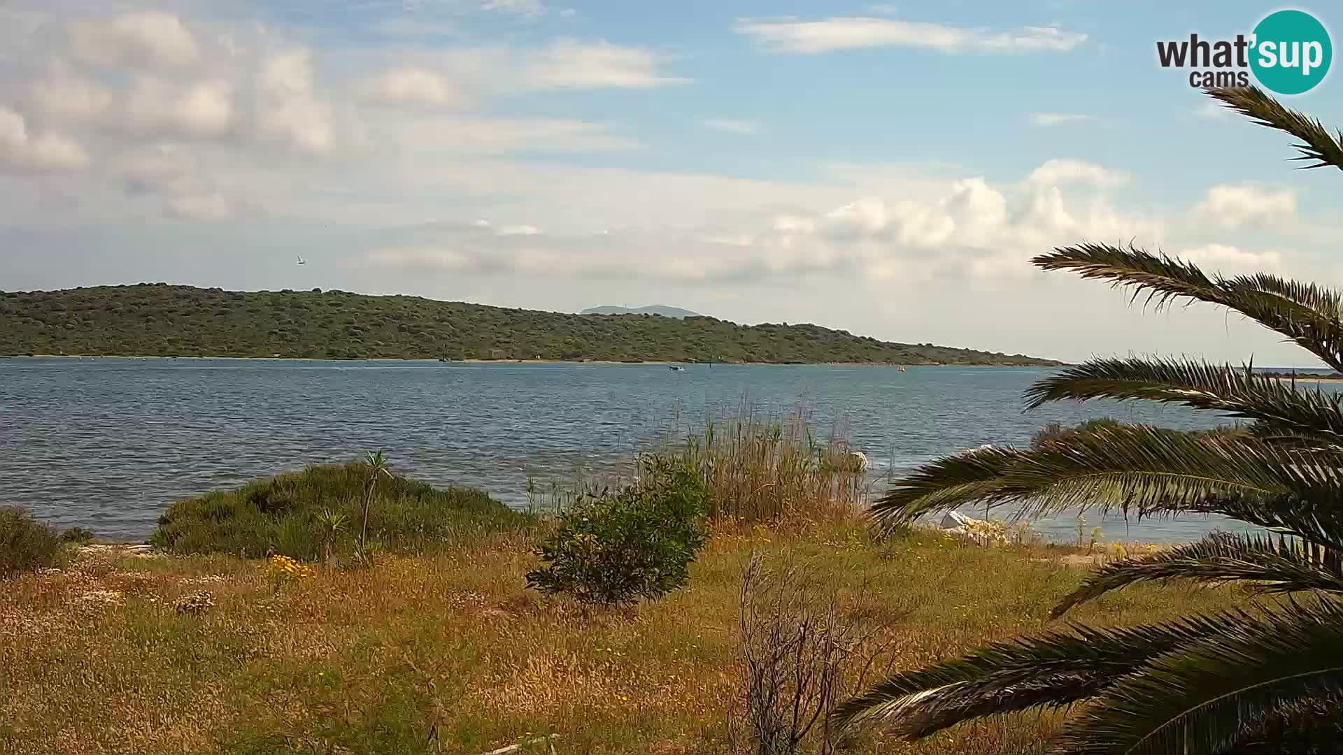 Webcam porto di Olbia – entrata nel porto di Olbia