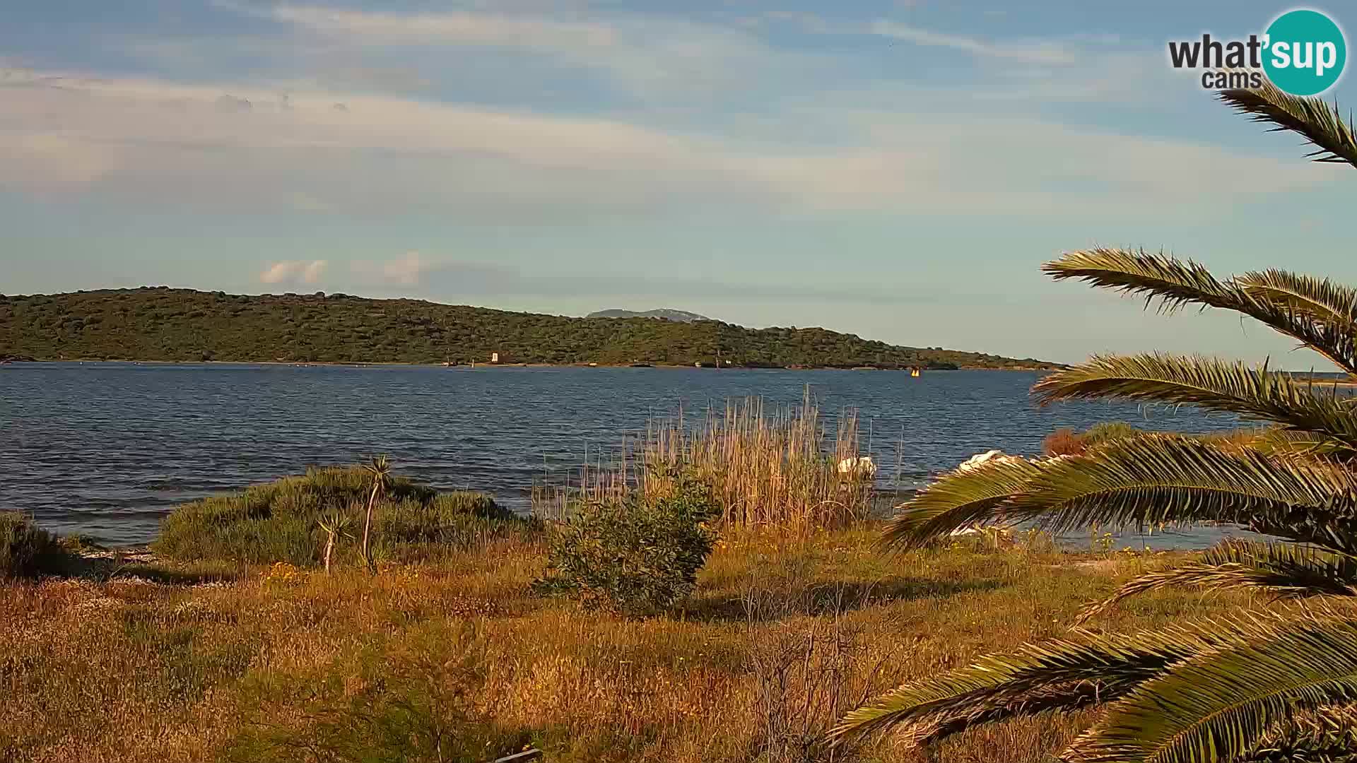 Webcam porto di Olbia – entrata nel porto di Olbia