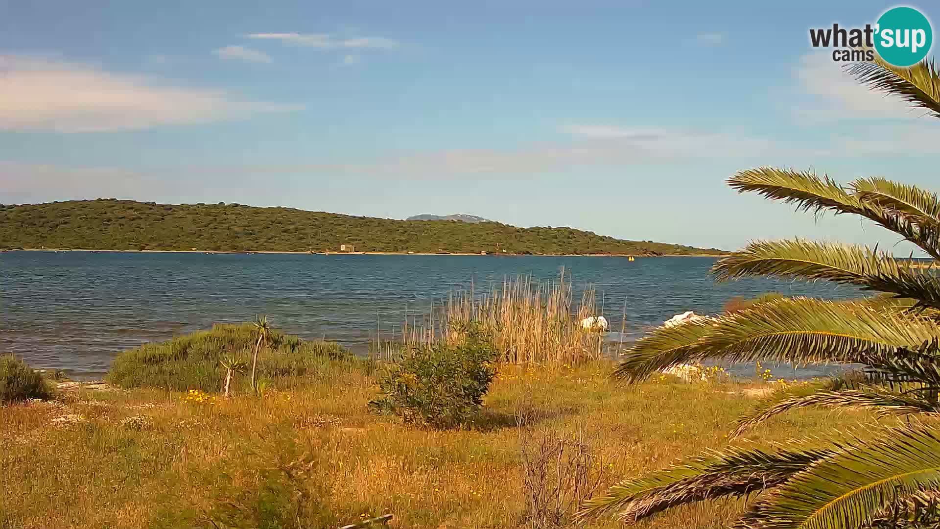Web kamera Olbia luka – ulaz u luku Olbia