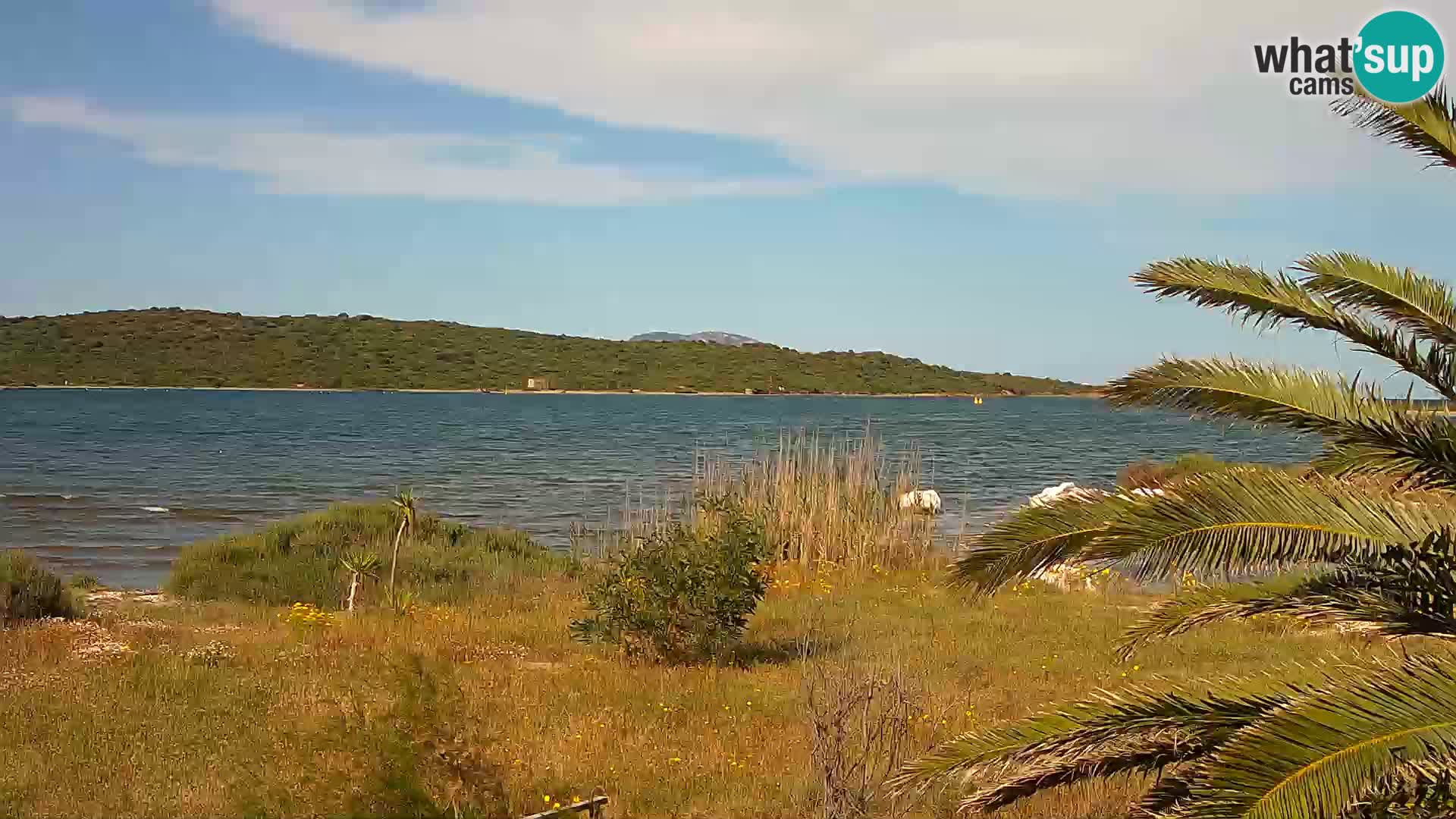 Webcam porto di Olbia – entrata nel porto di Olbia