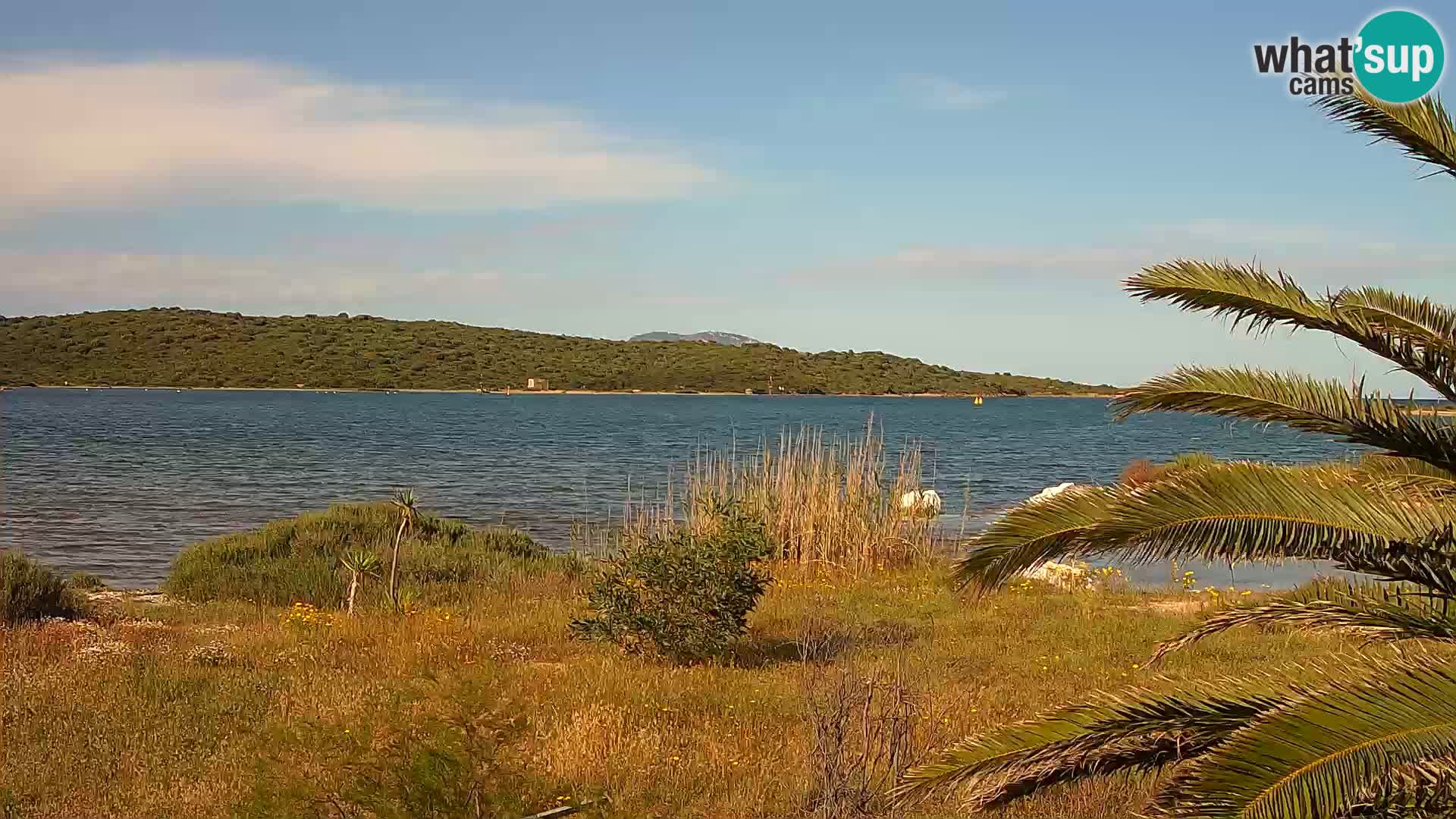 Webcam porto di Olbia – entrata nel porto di Olbia