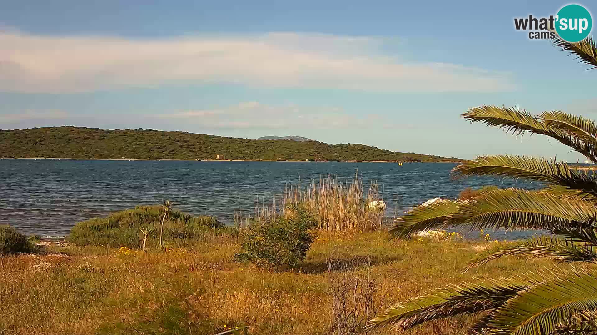 Webcam porto di Olbia – entrata nel porto di Olbia