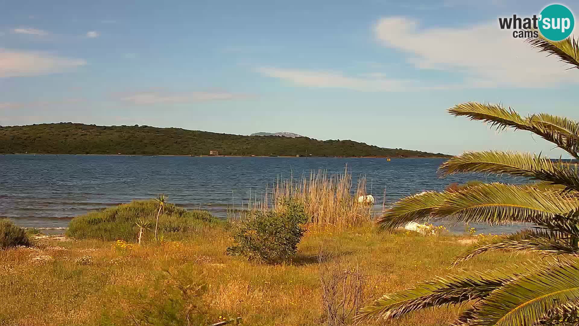 Webcam Hafen Olbia – Eingang zum Hafen von Olbia