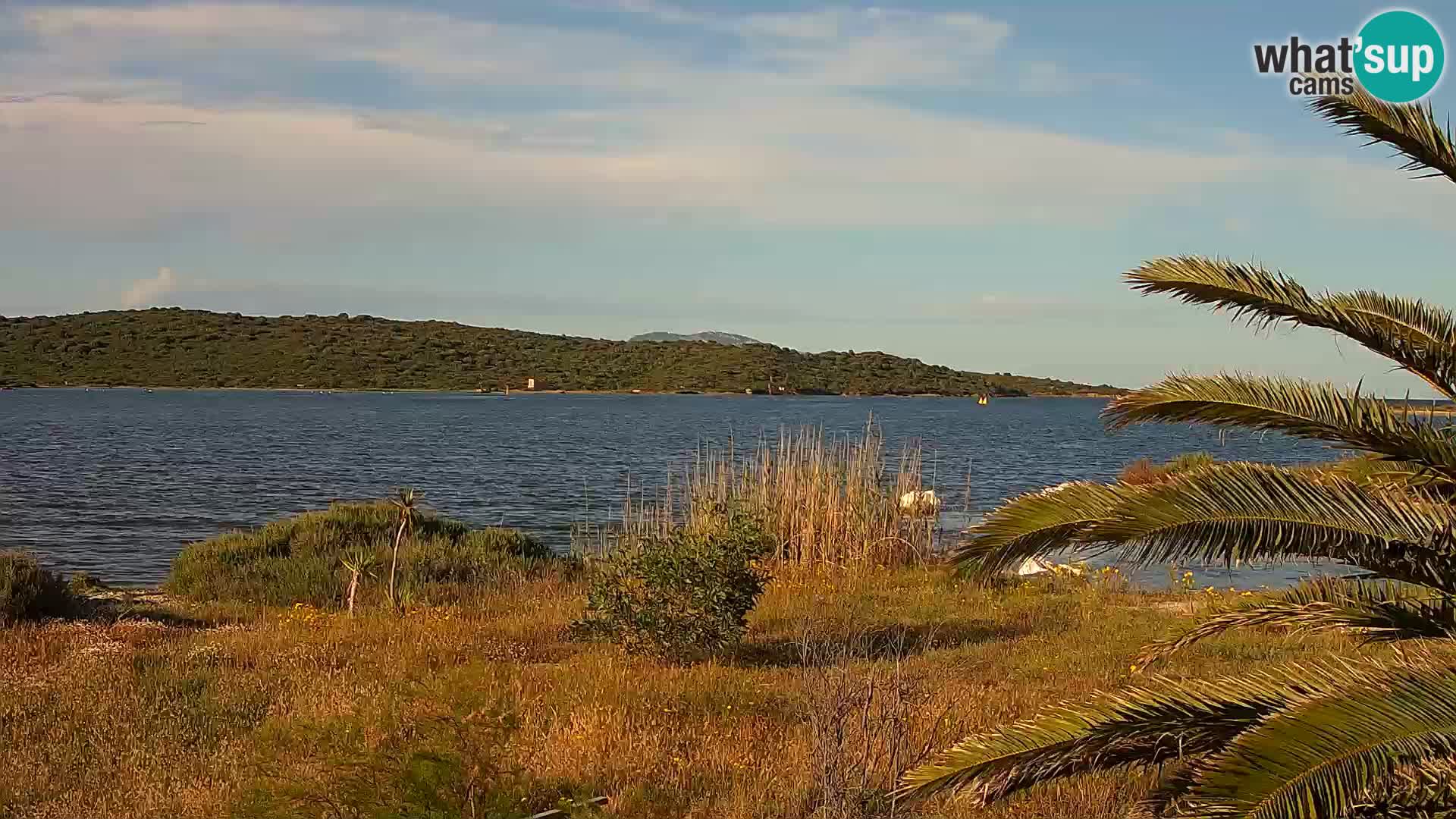 Web kamera Olbia luka – ulaz u luku Olbia