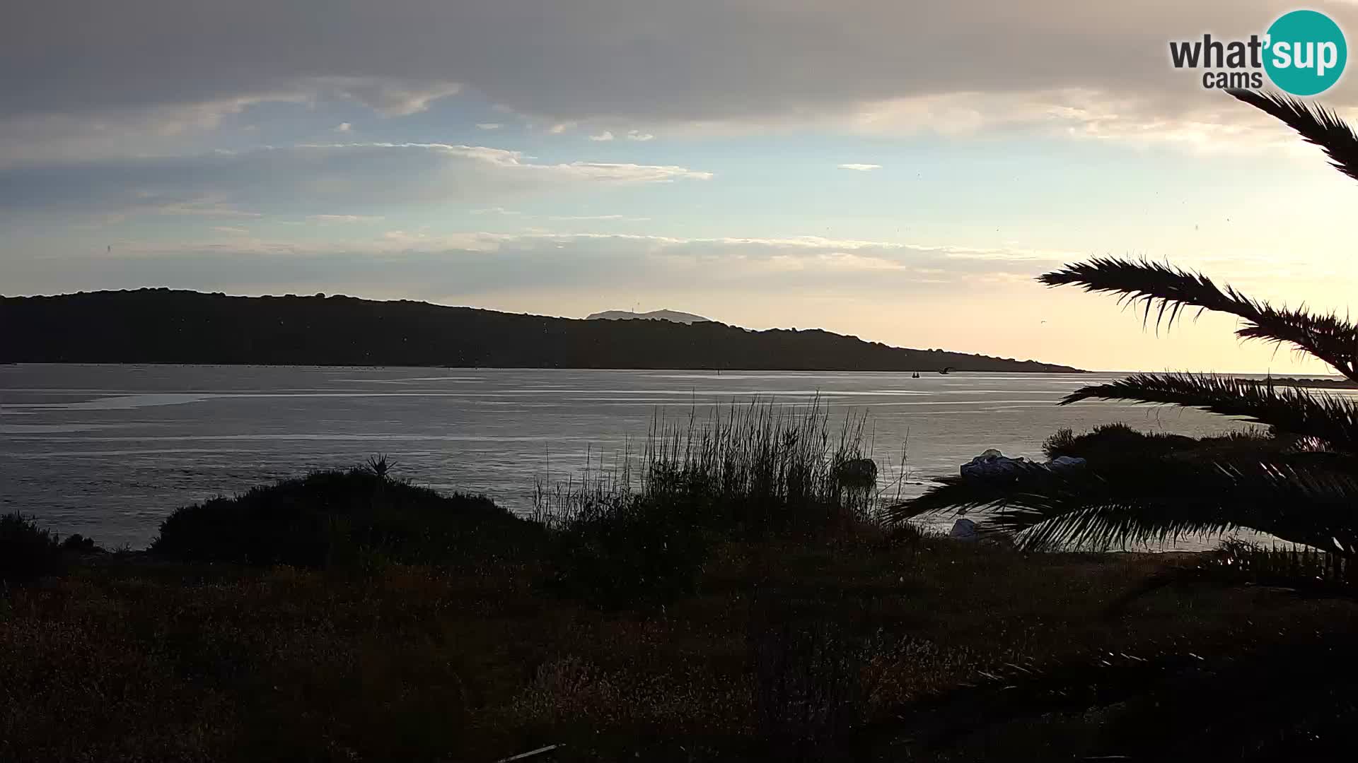 Webcam porto di Olbia – entrata nel porto di Olbia