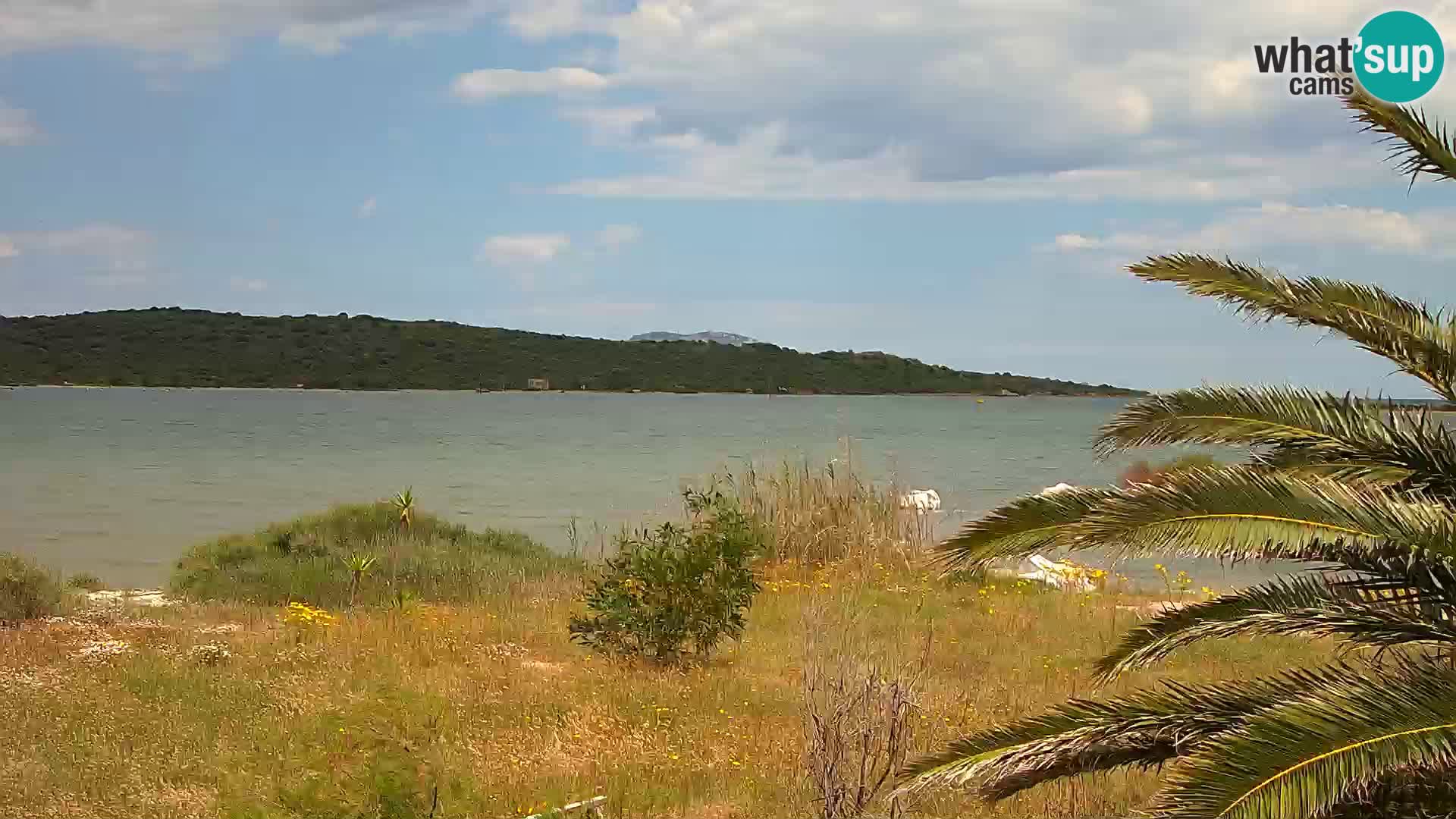Camera web puerto de Olbia – entrada al puerto de Olbia