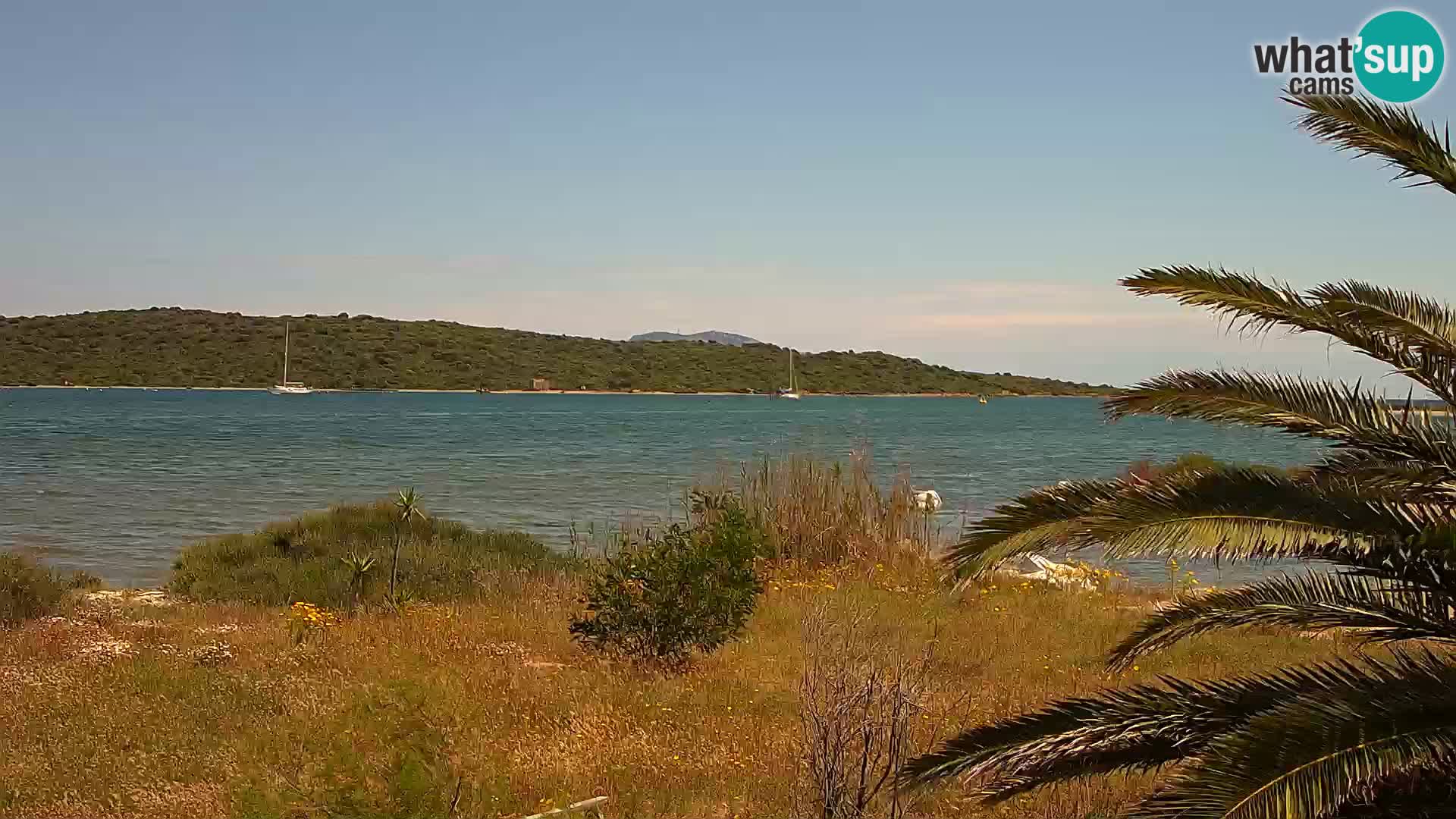 Webcam porto di Olbia – entrata nel porto di Olbia