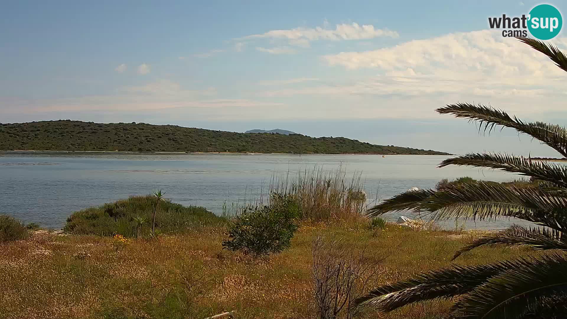 Camera web puerto de Olbia – entrada al puerto de Olbia