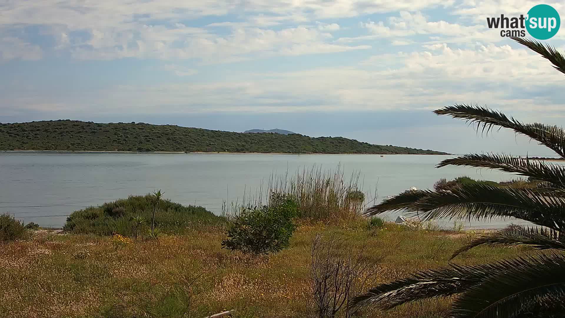 Web kamera Olbia luka – ulaz u luku Olbia