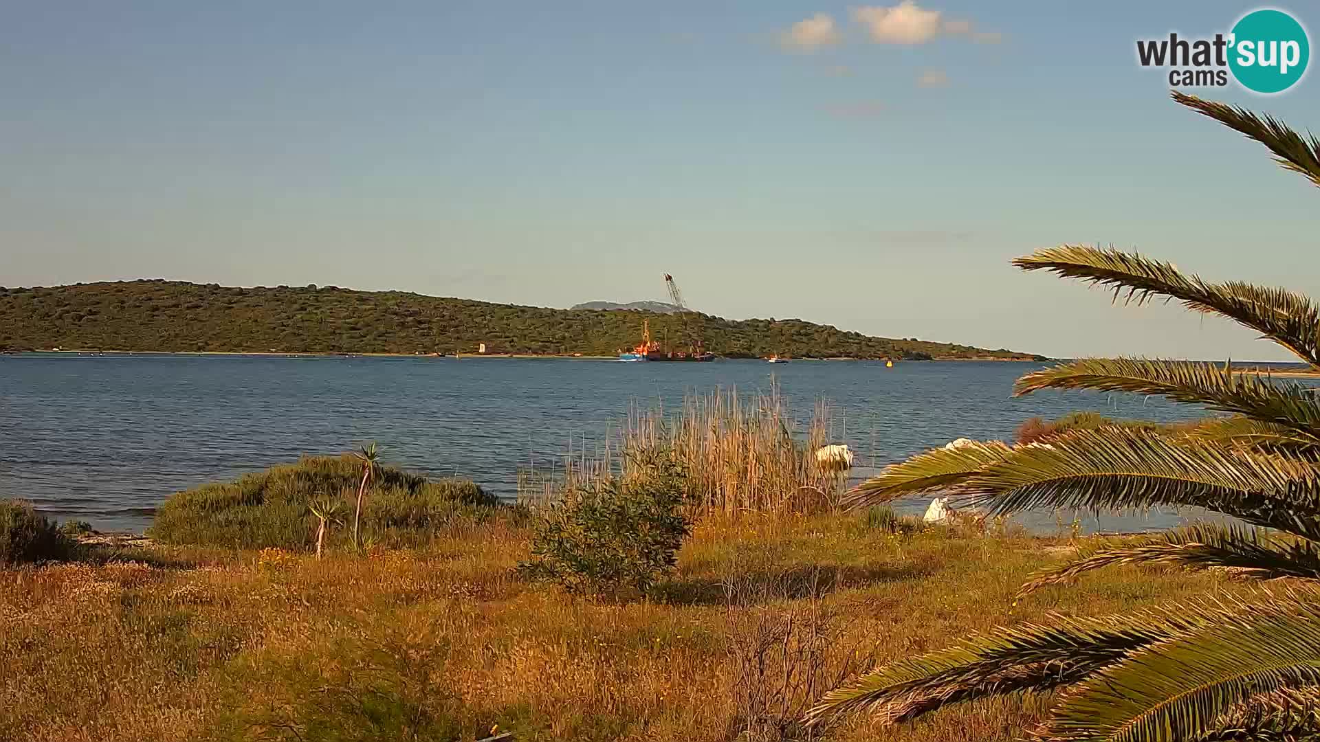 Webcam porto di Olbia – entrata nel porto di Olbia