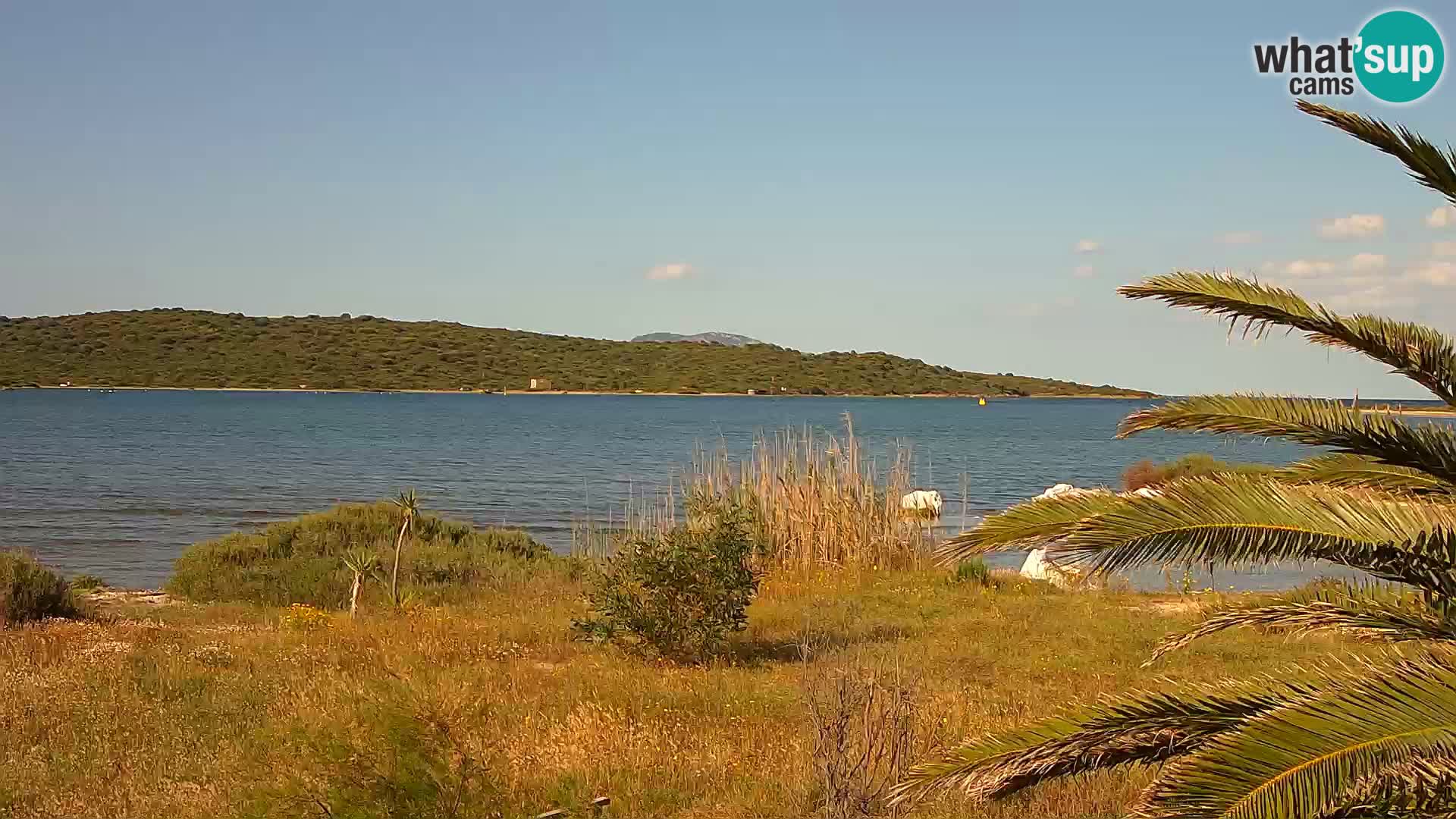 Spletna kamera pristanišče Olbia – vhod v pristanišče Olbia