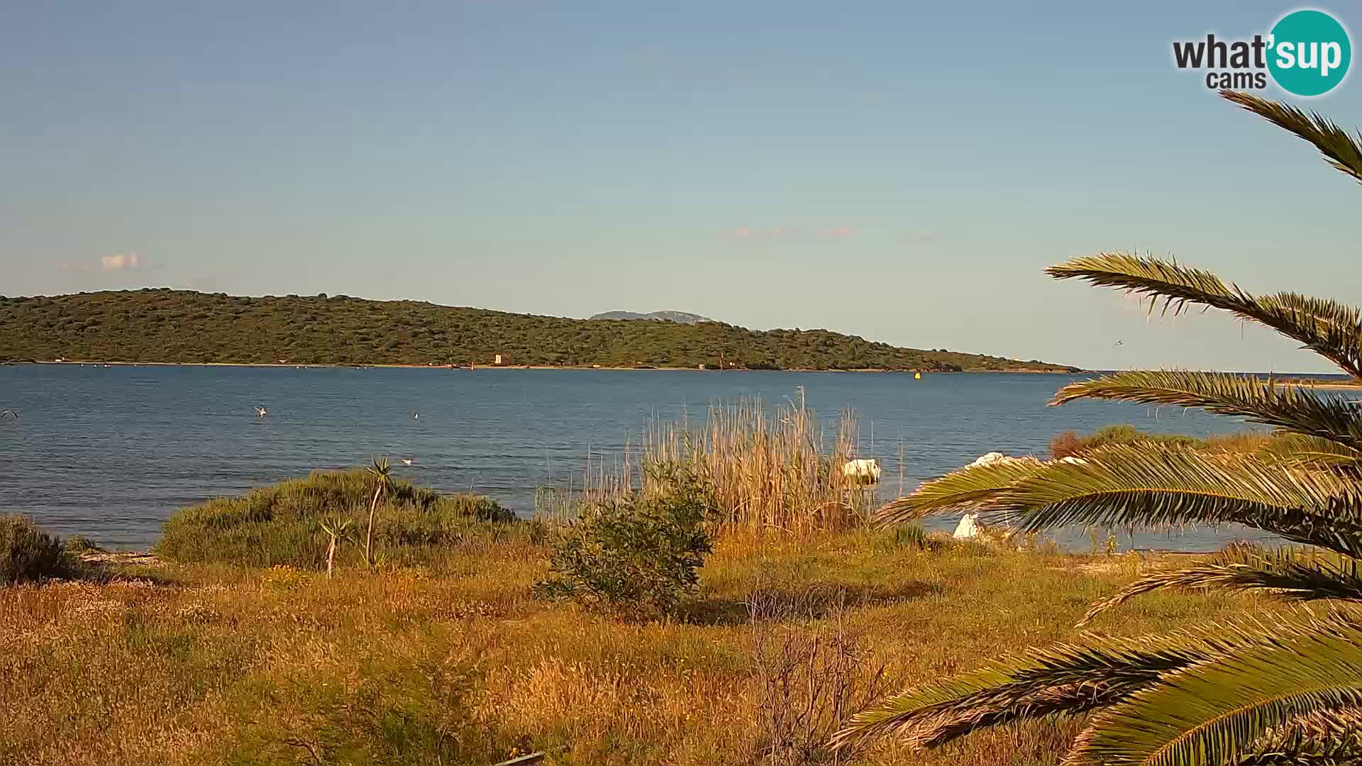 Web kamera Olbia luka – ulaz u luku Olbia