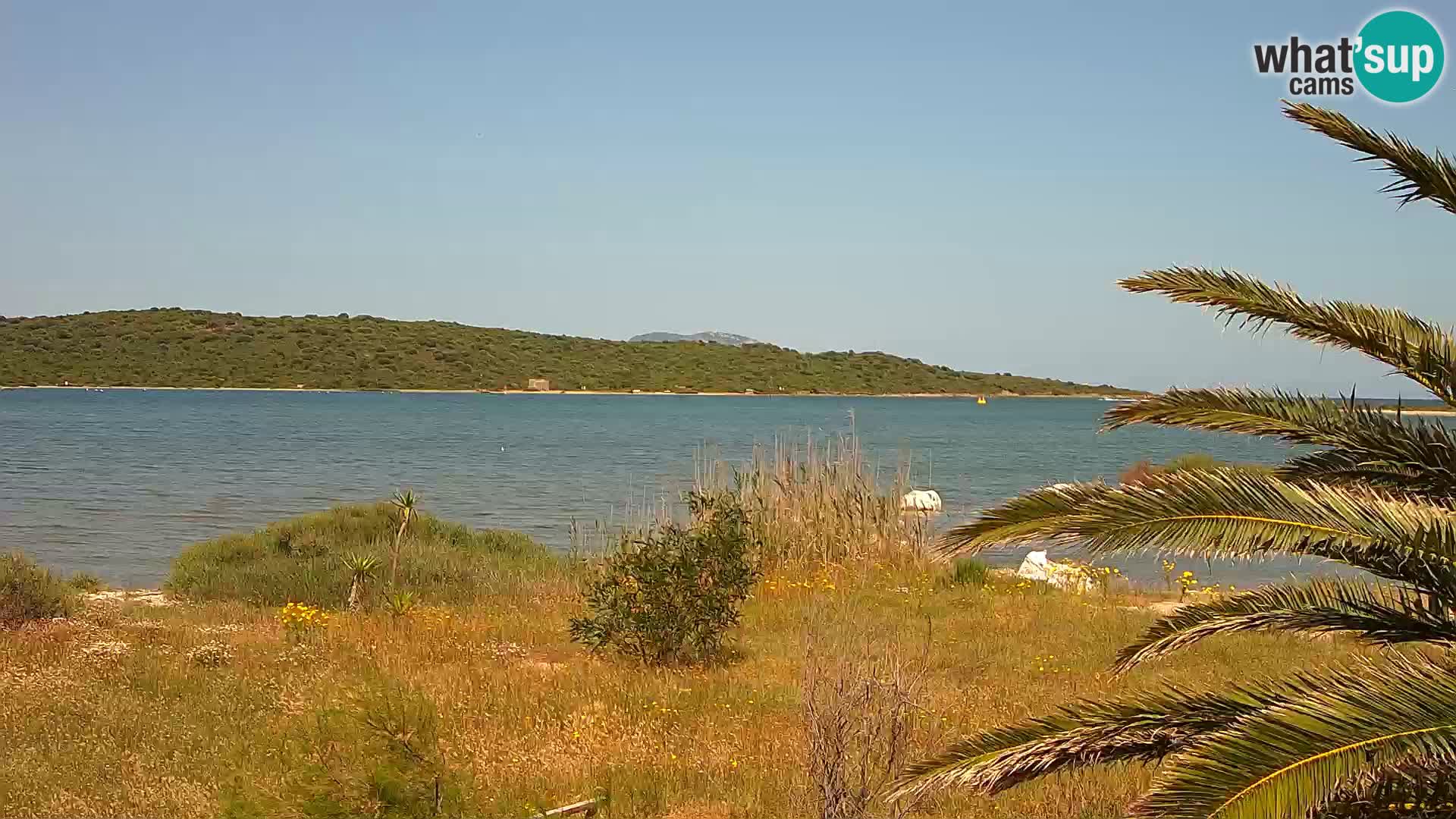 Webcam porto di Olbia – entrata nel porto di Olbia