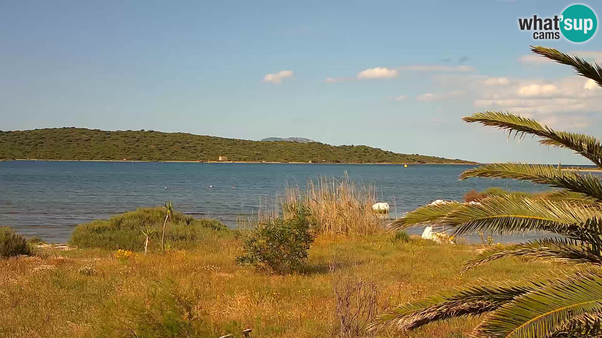 Webcam porto di Olbia – entrata nel porto di Olbia