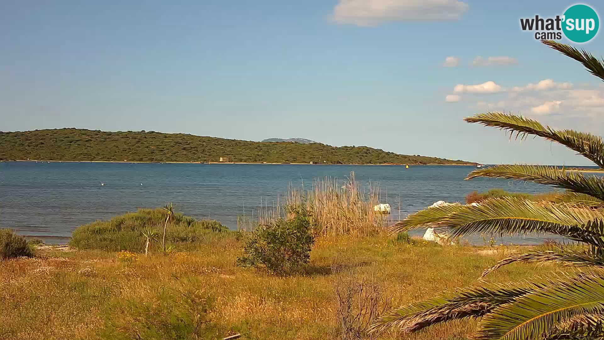 Camera web puerto de Olbia – entrada al puerto de Olbia