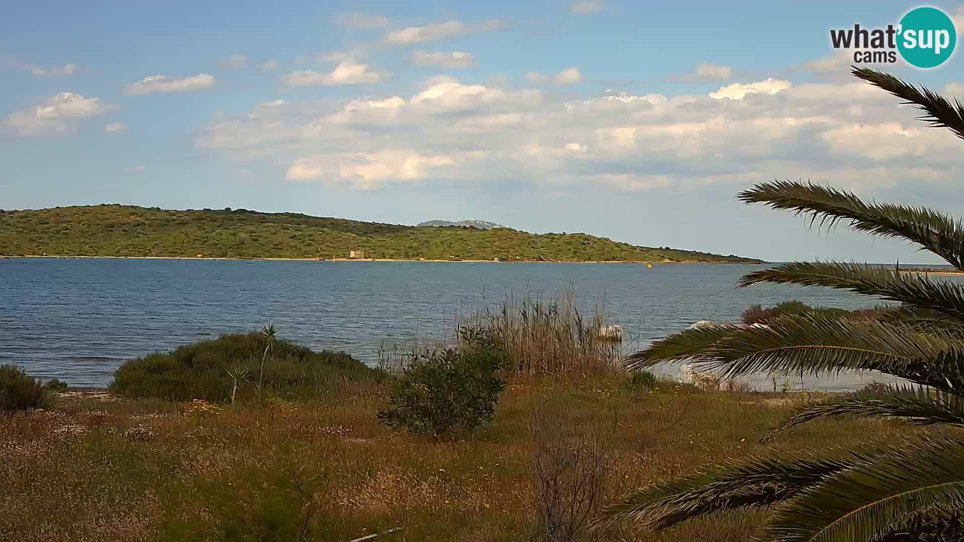Webcam porto di Olbia – entrata nel porto di Olbia