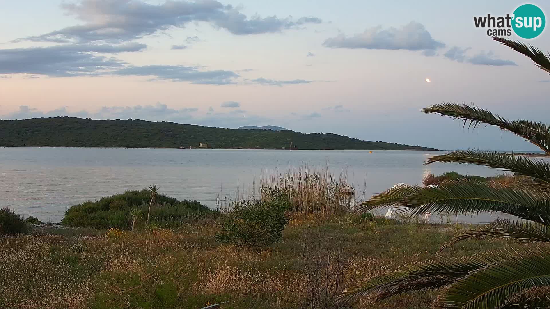 Web kamera Olbia luka – ulaz u luku Olbia