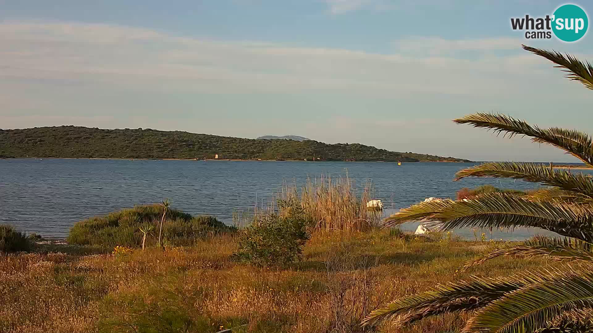Camera web puerto de Olbia – entrada al puerto de Olbia