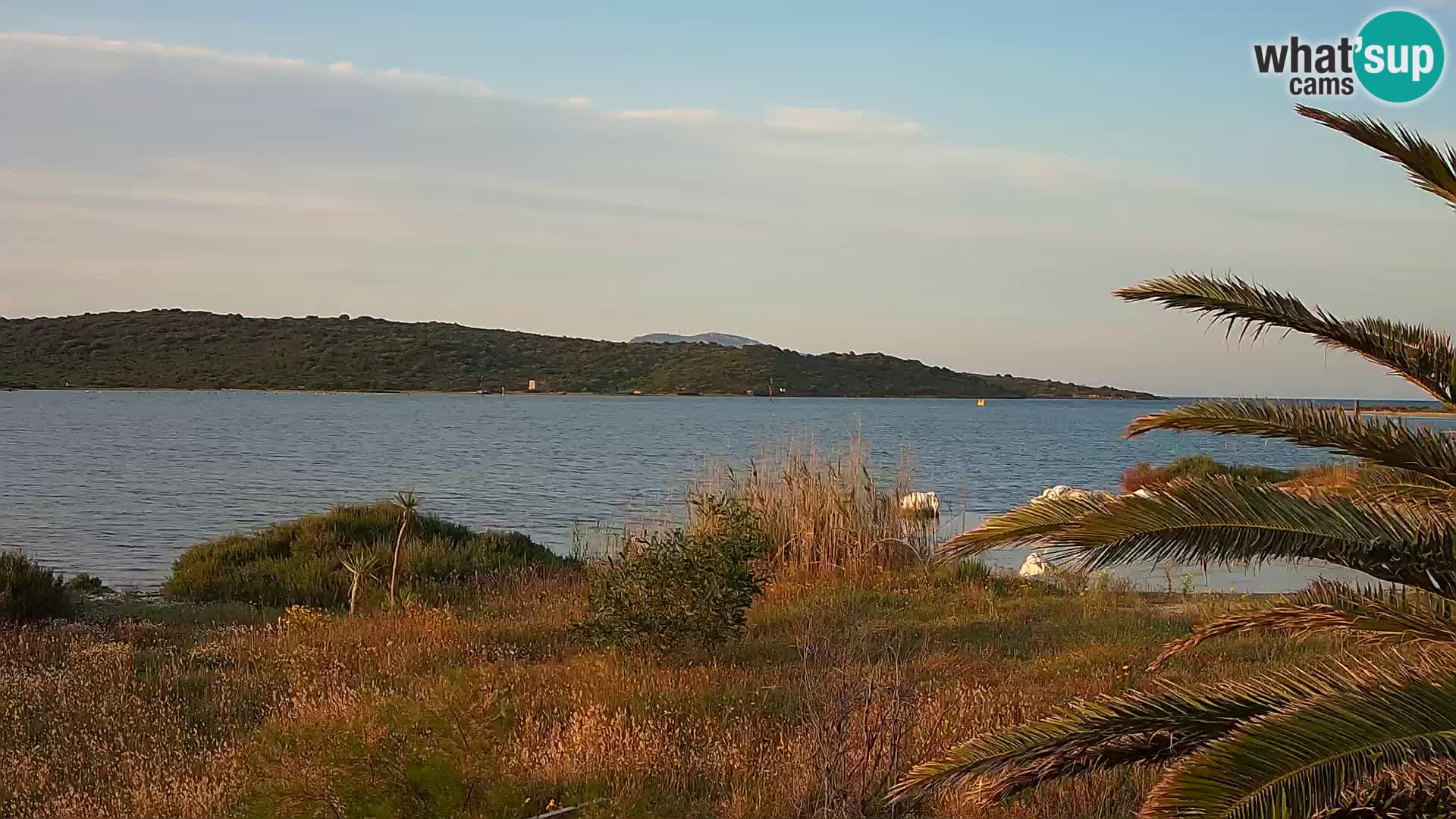 Spletna kamera pristanišče Olbia – vhod v pristanišče Olbia