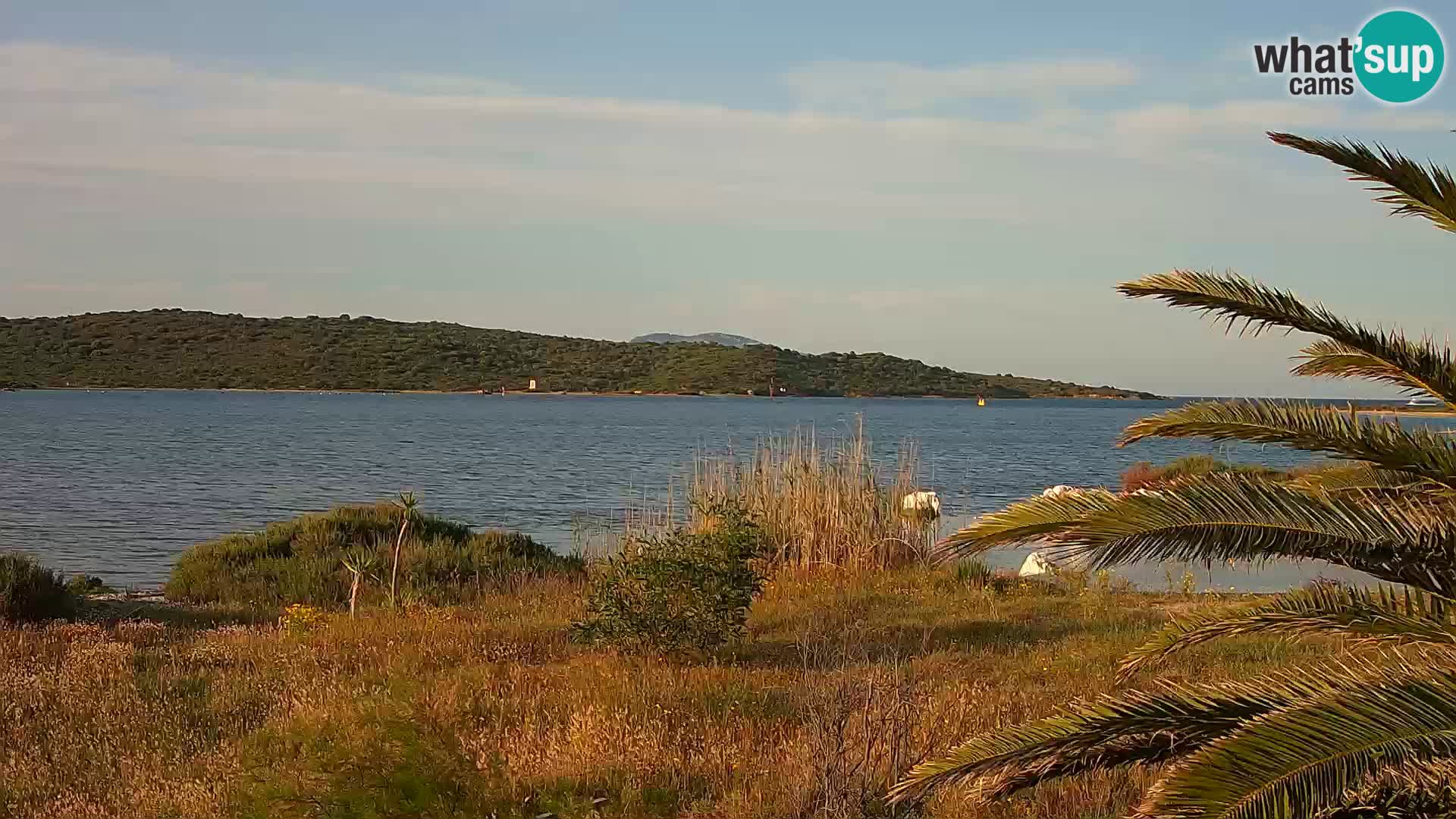 Webcam Olbia port – entrance to the port of Olbia