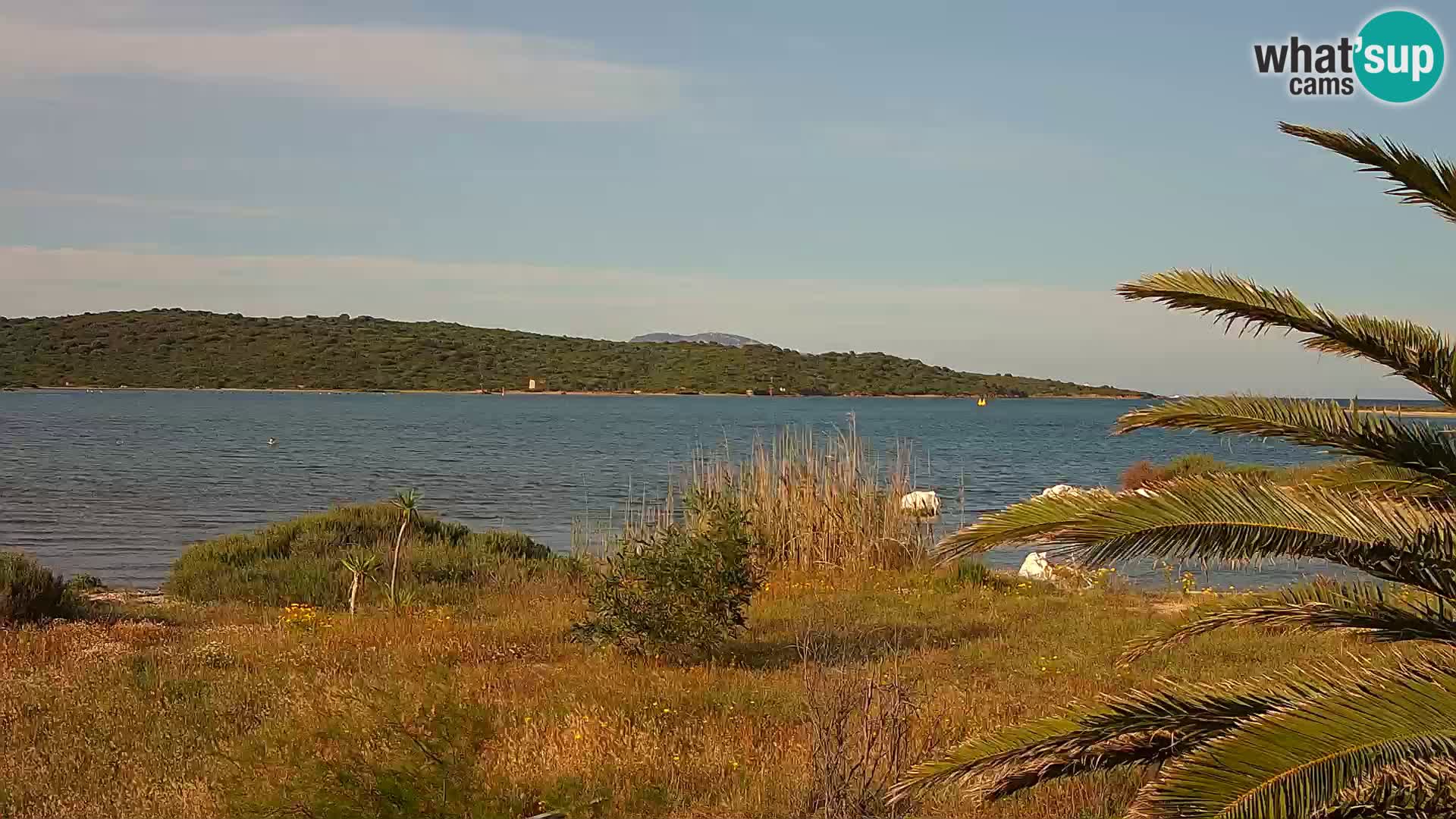 Webcam porto di Olbia – entrata nel porto di Olbia