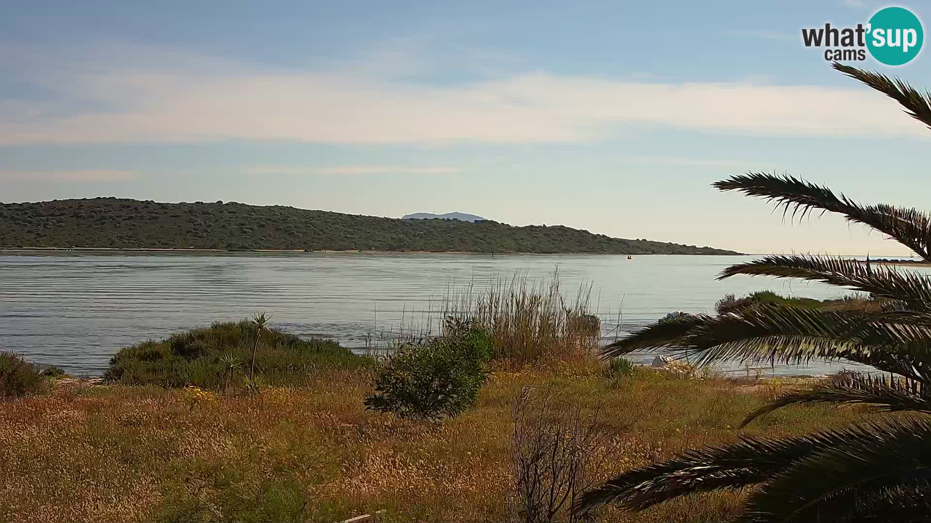 Web kamera Olbia luka – ulaz u luku Olbia