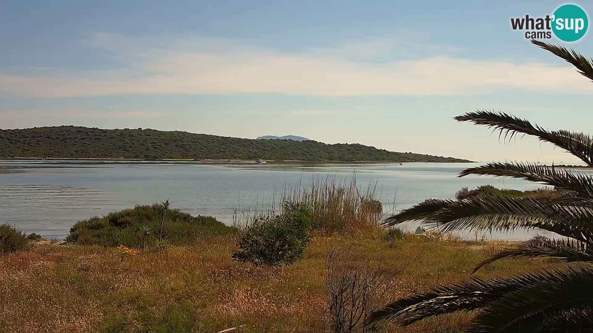 Webcam Olbia port – entrance to the port of Olbia