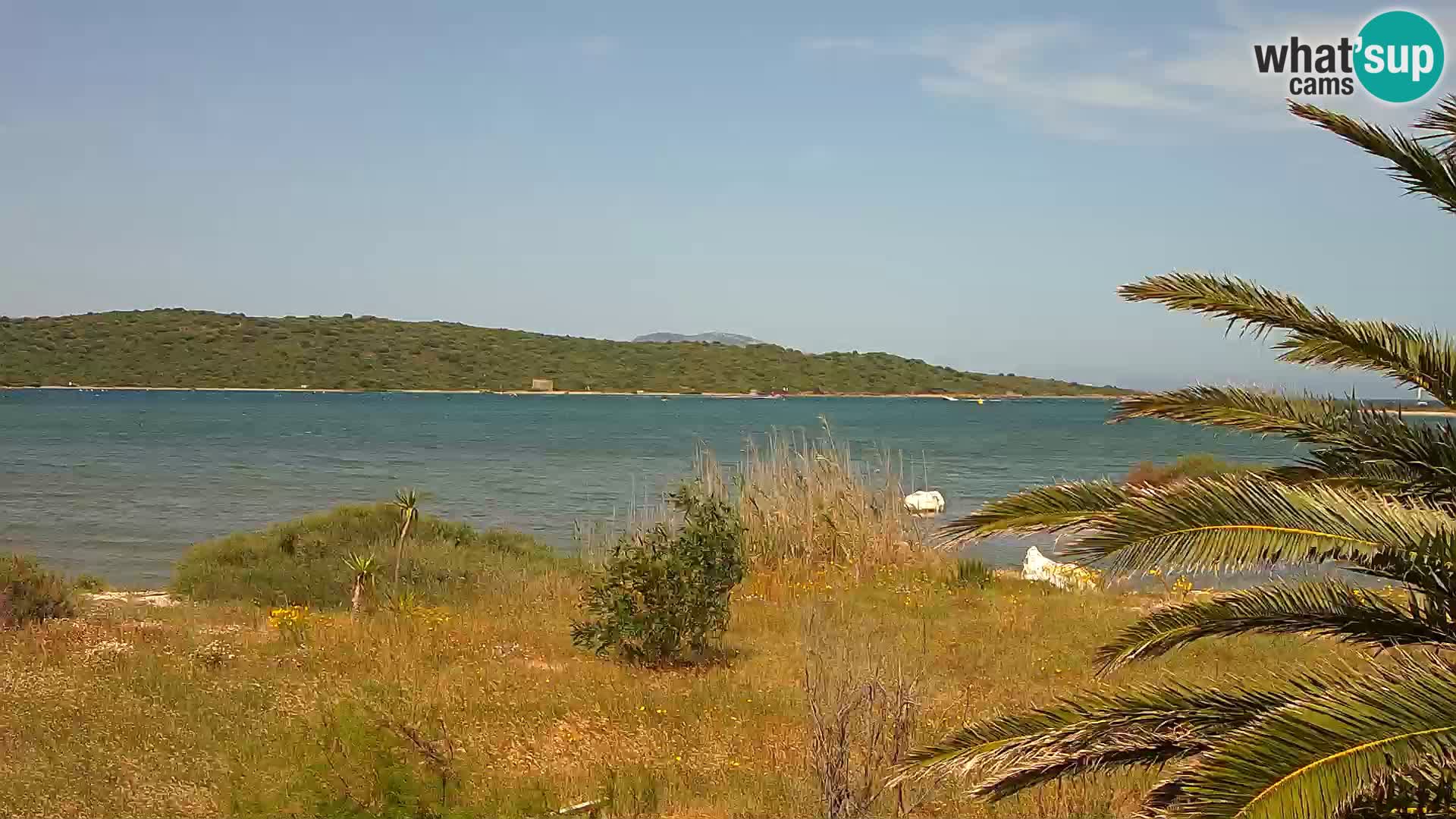 Spletna kamera pristanišče Olbia – vhod v pristanišče Olbia