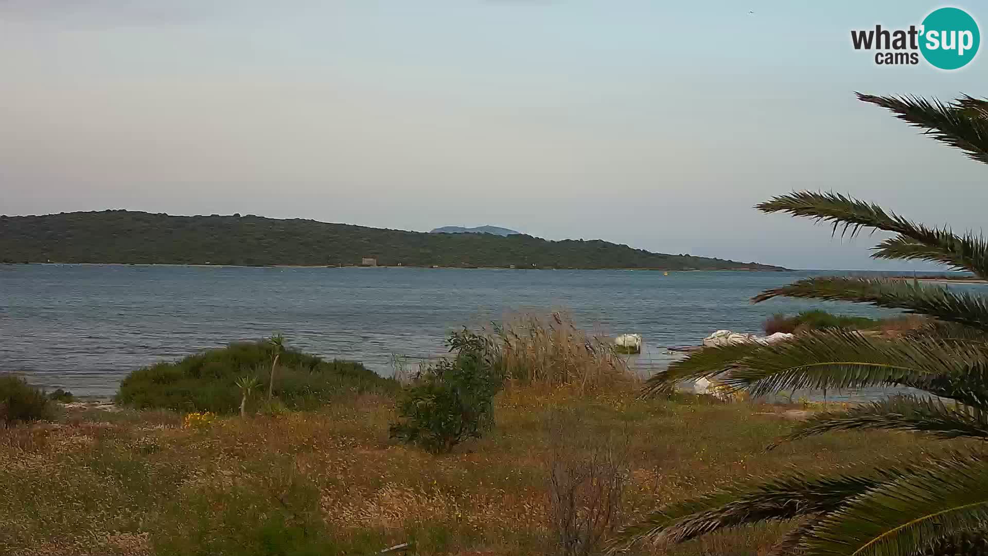 Web kamera Olbia luka – ulaz u luku Olbia