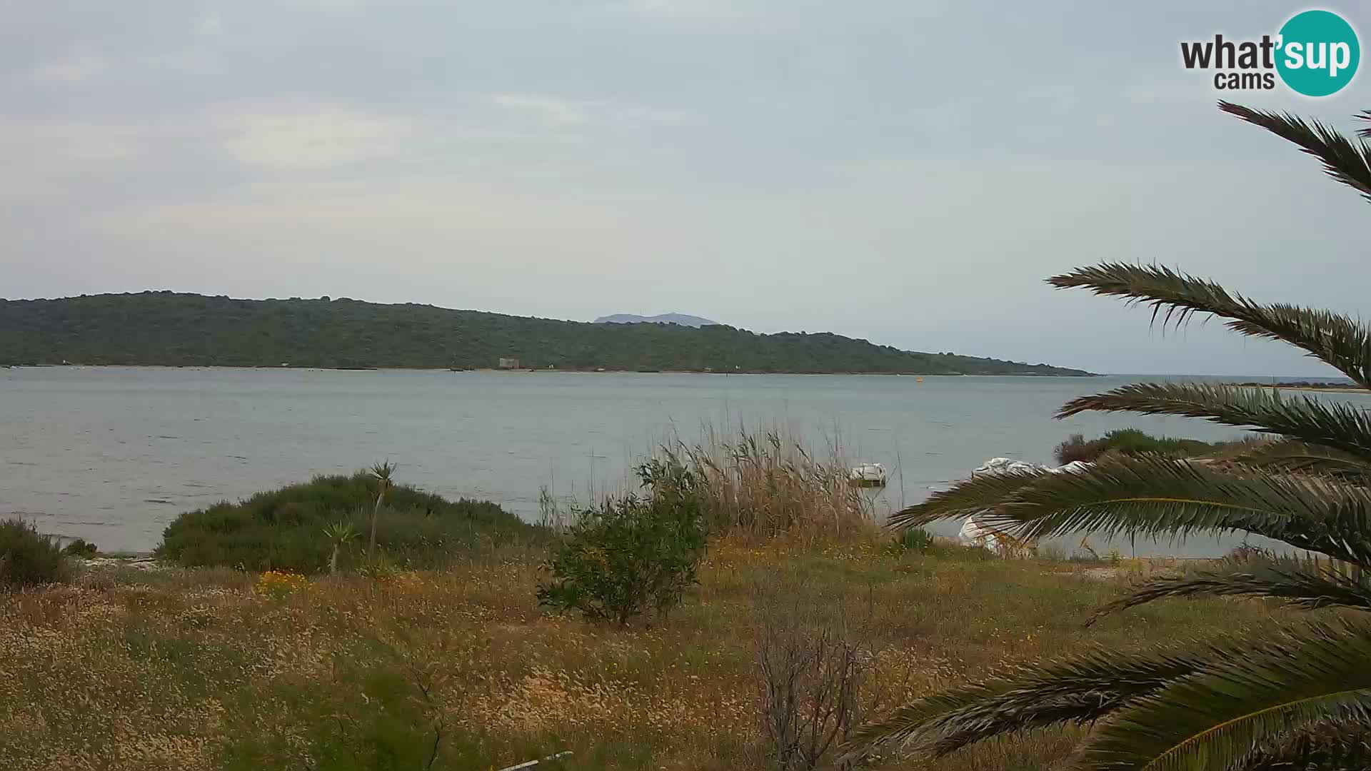 Camera web puerto de Olbia – entrada al puerto de Olbia