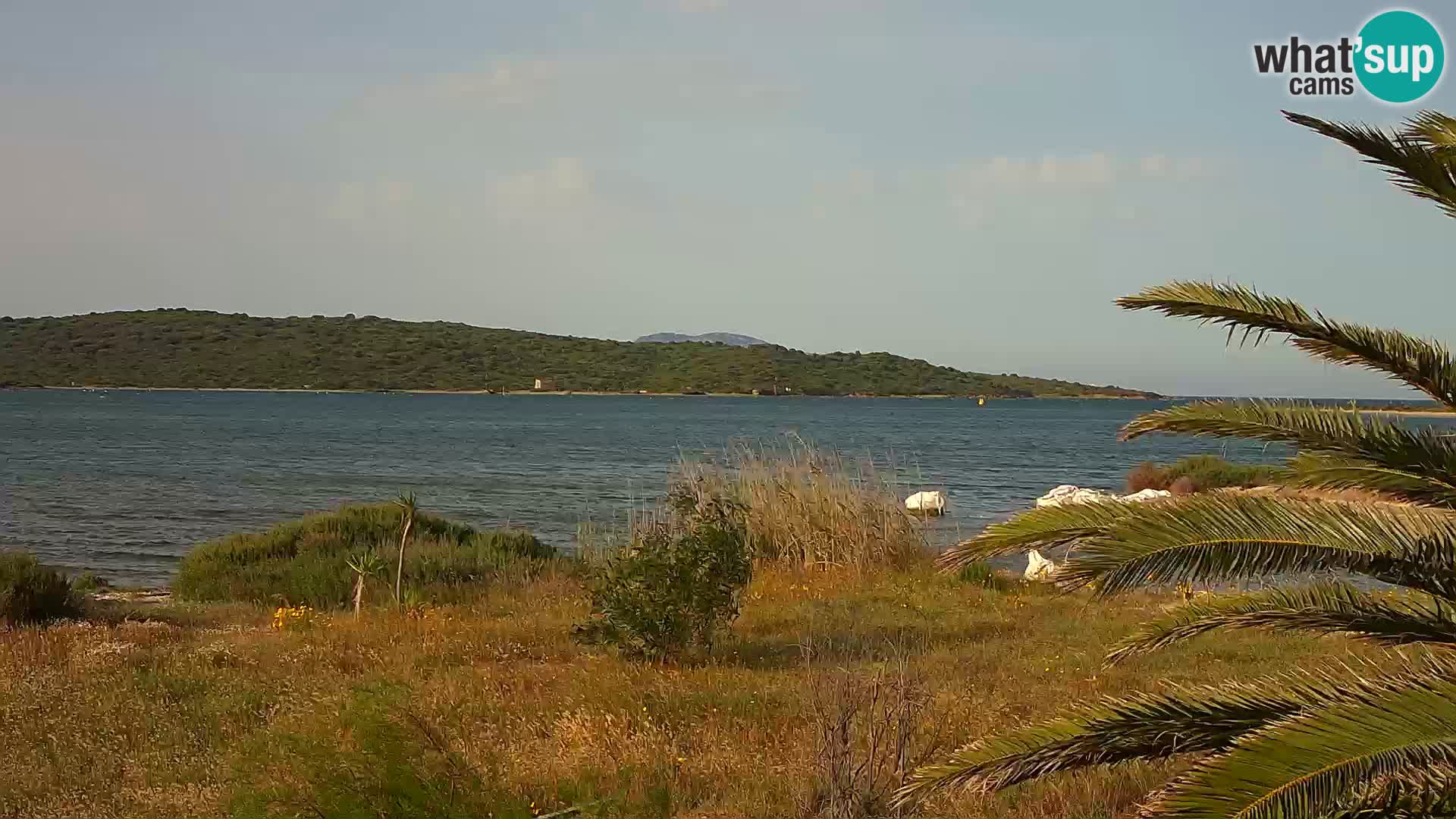 Webcam Olbia port – entrance to the port of Olbia