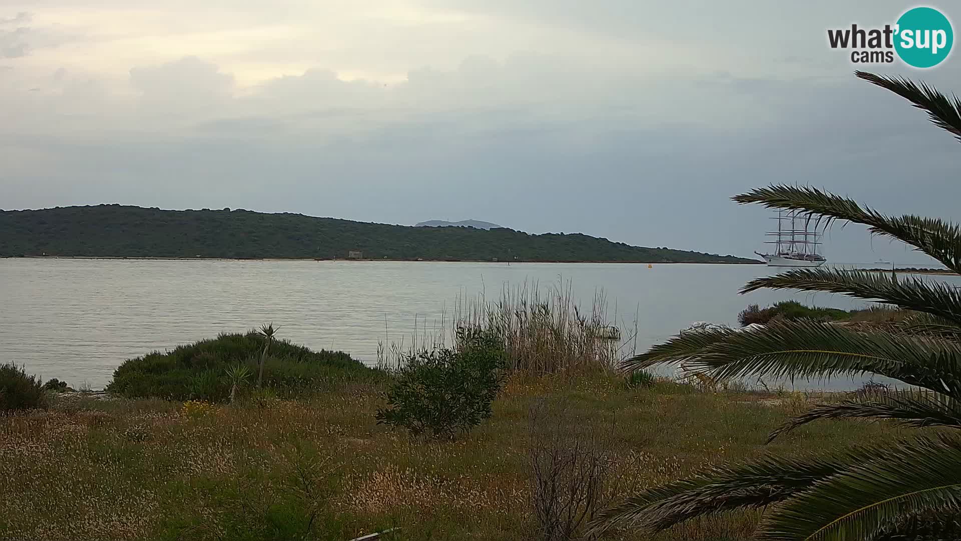 Webcam Olbia port – entrance to the port of Olbia