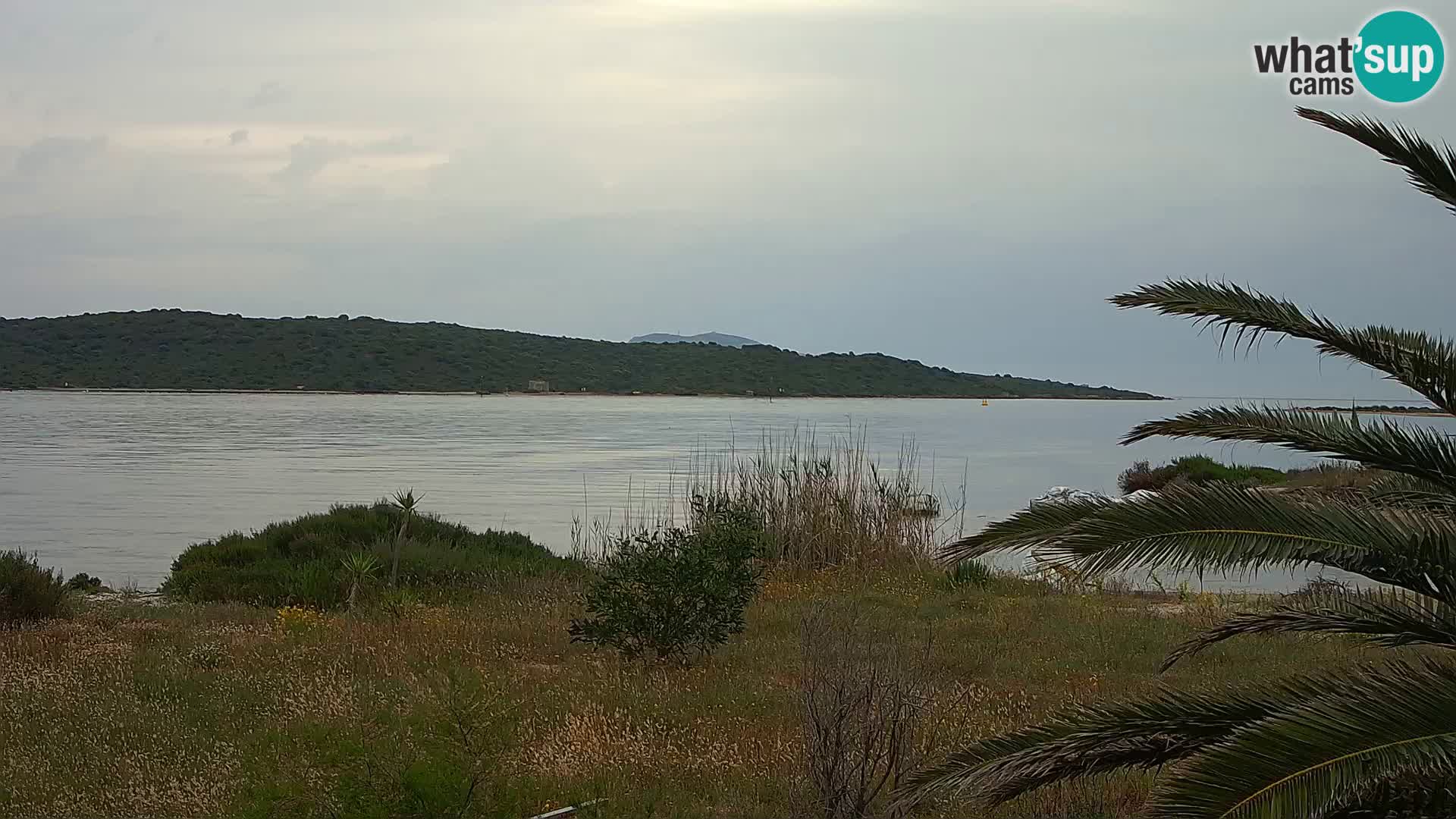 Webcam Olbia port – entrance to the port of Olbia