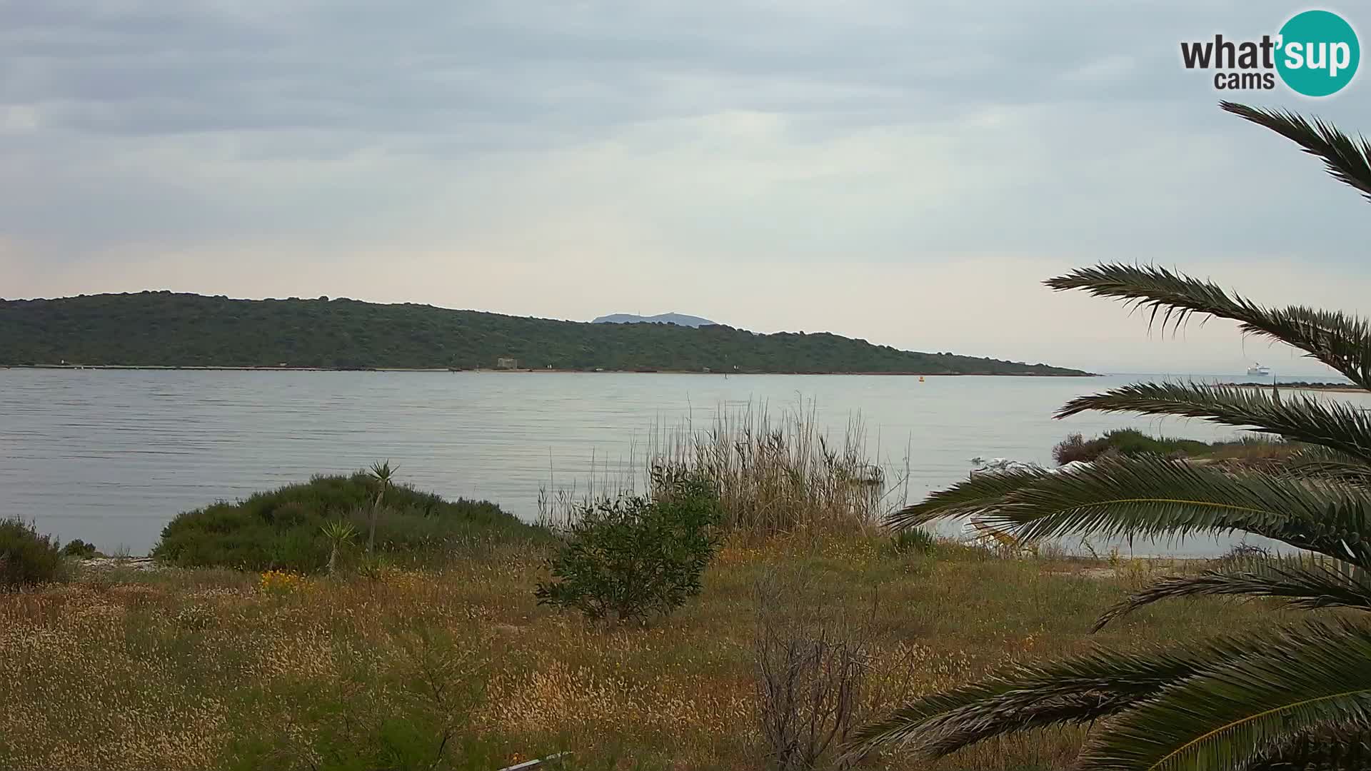 Web kamera Olbia luka – ulaz u luku Olbia